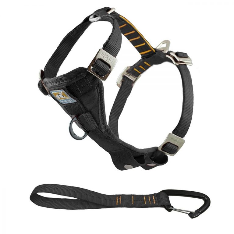 kurgo tru-fit no pull dog harness