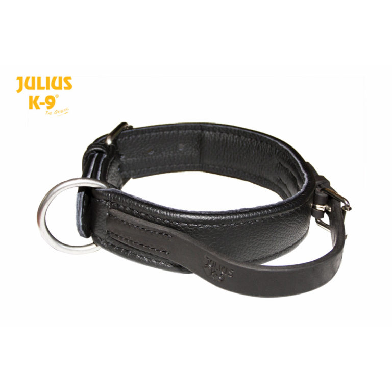 Leather Dog Collar with Handle