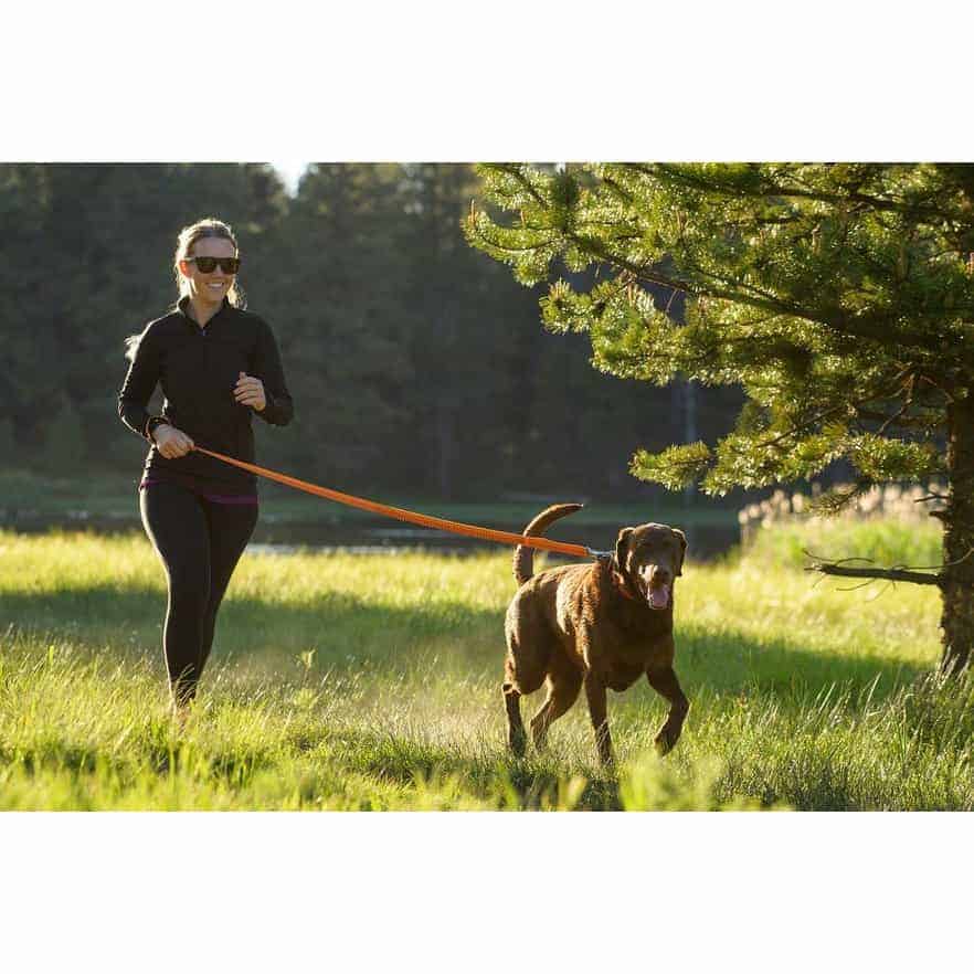 Ruffwear Roamer Ruffwear Roamer Leash Products Petshop Direct