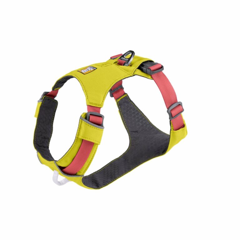lightweight dog harness