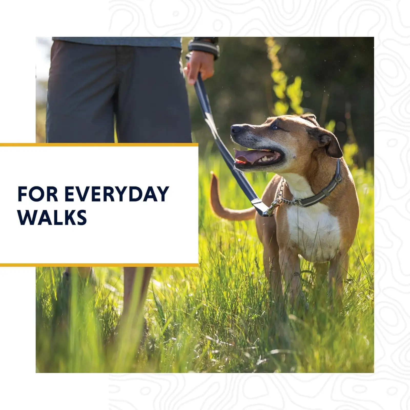 Ruffwear-Chain-Reaction-Dog-Collar-Every-Day-Walk-Collar (1)