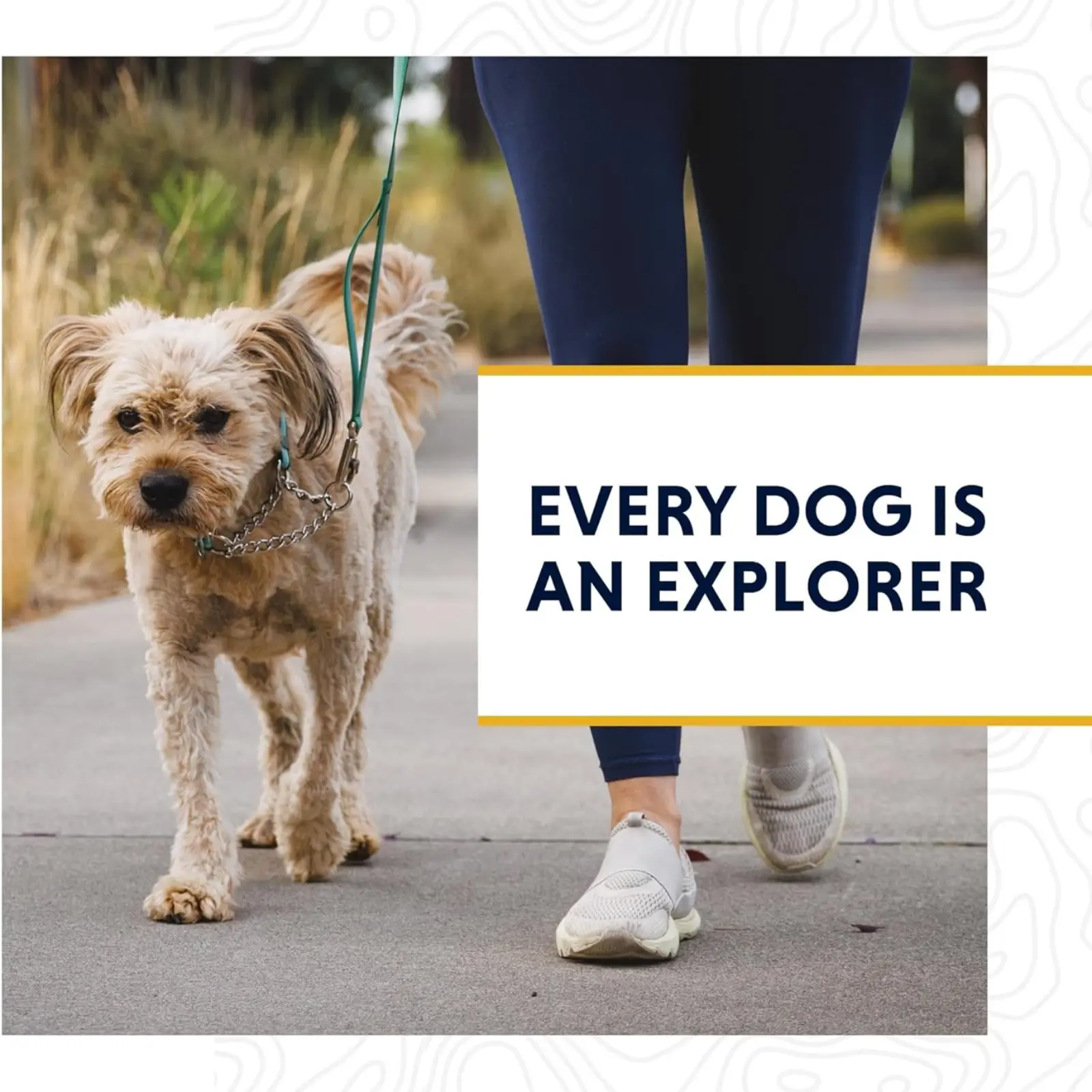 Ruffwear-Chain-Reaction-Dog-Collar-Every-Day-Walk-Collar (3)