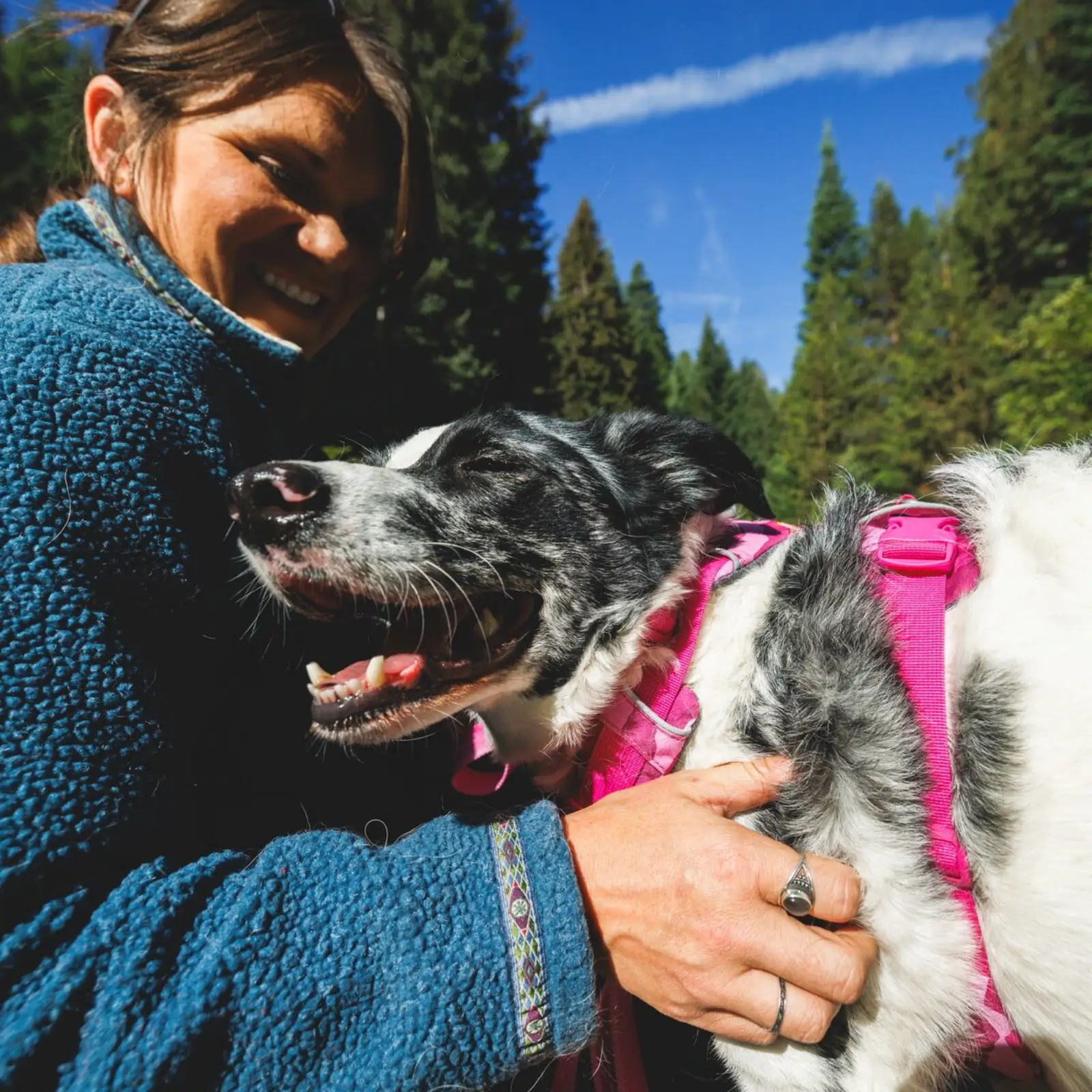 Ruffwear-Front-Range-Chest-Harness_Pink-Mountains_Lifestyle_RW-18 ruffwear front range