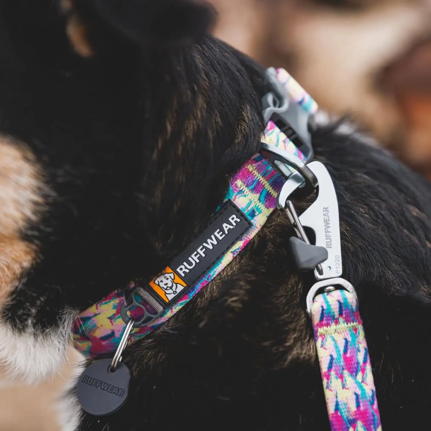 Ruffwear-Front-Range-Collar-Reaf-Fish-Dog-Collar