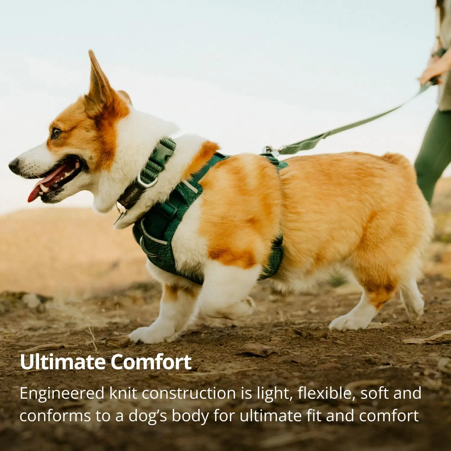 Ruffwear-Front-Range-Flex-Collar_Features-1 ruffwear front range flex collar