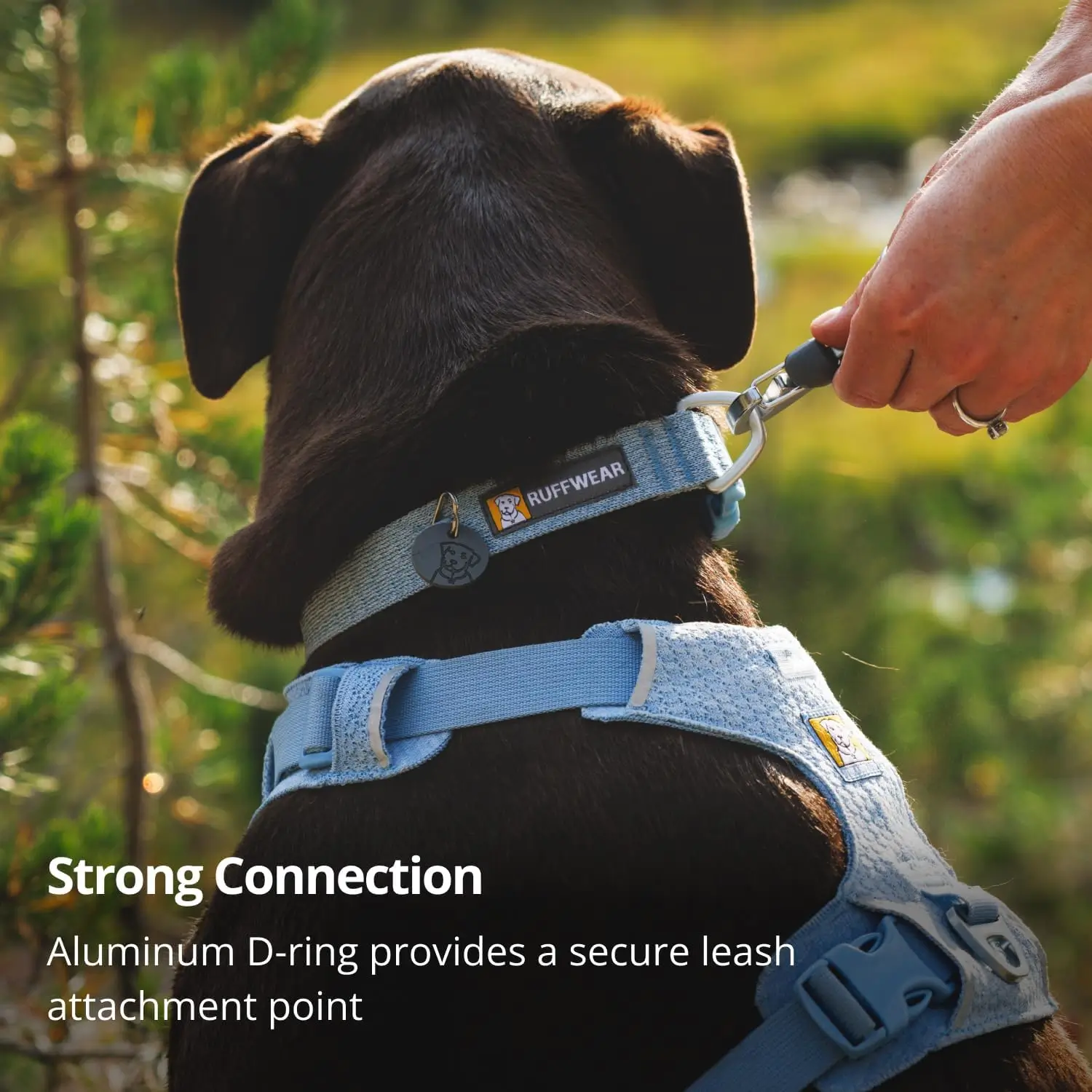 Ruffwear-Front-Range-Flex-Collar_Features ruffwear front range flex collar