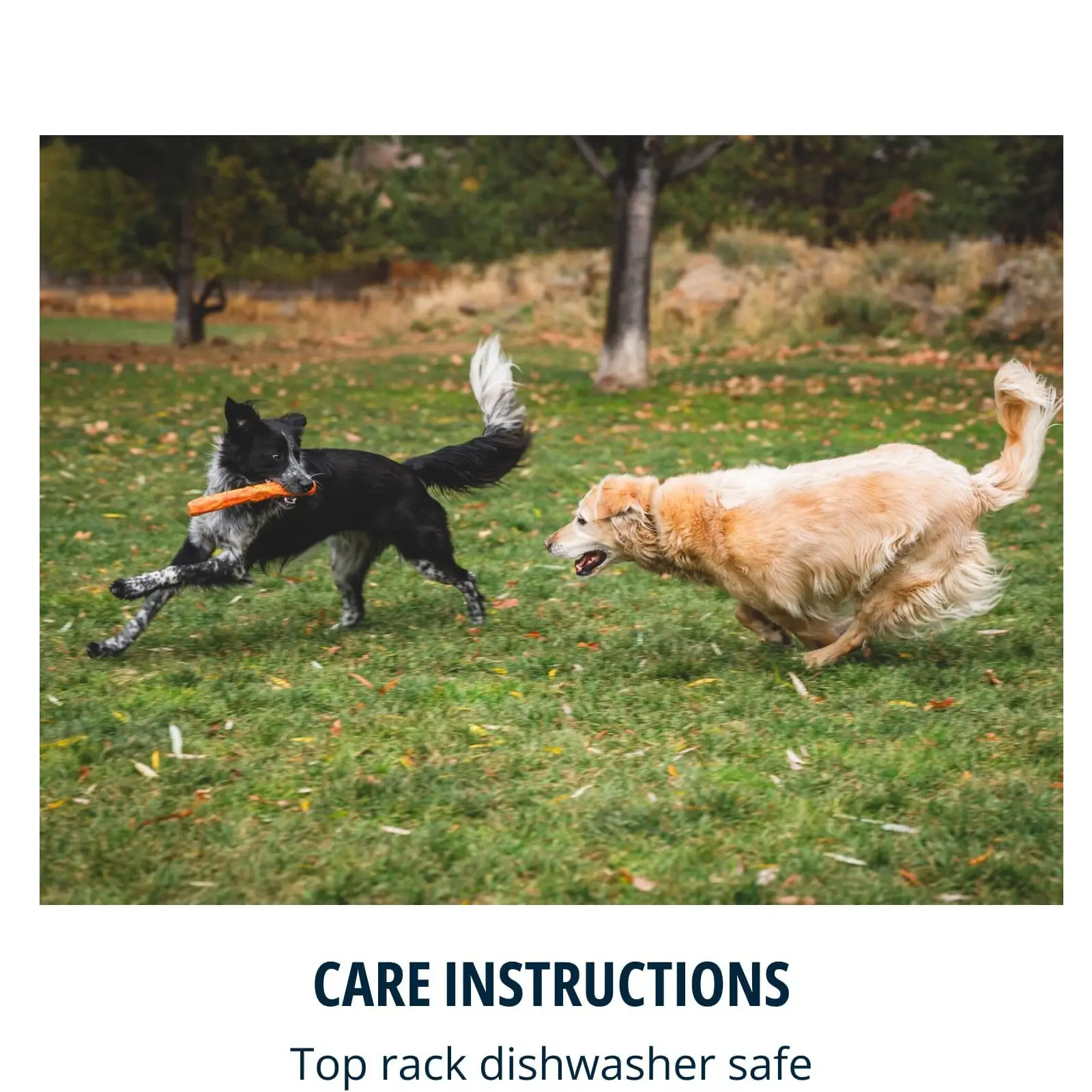 Ruffwear-Gnawt-a-Stick-Throw-Dog-Toy-Care-Instruction