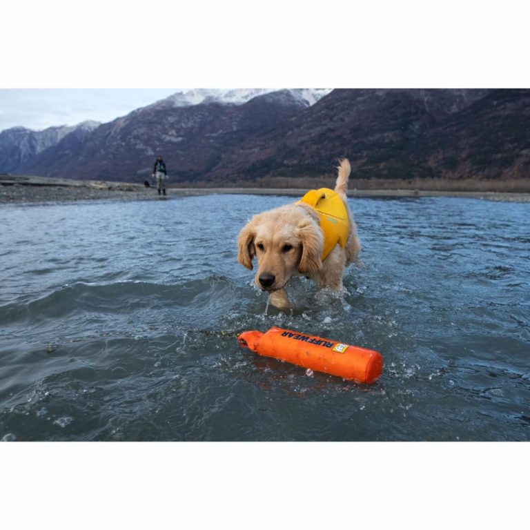 Ruffwear Lunker Floating Dog Toy Pet Shop Direct