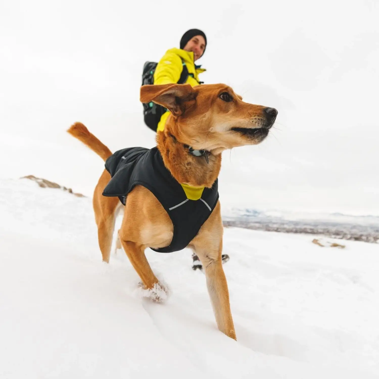 Ruffwear-Quinzee-Dog-Jacket-Black-Obsidian (4)