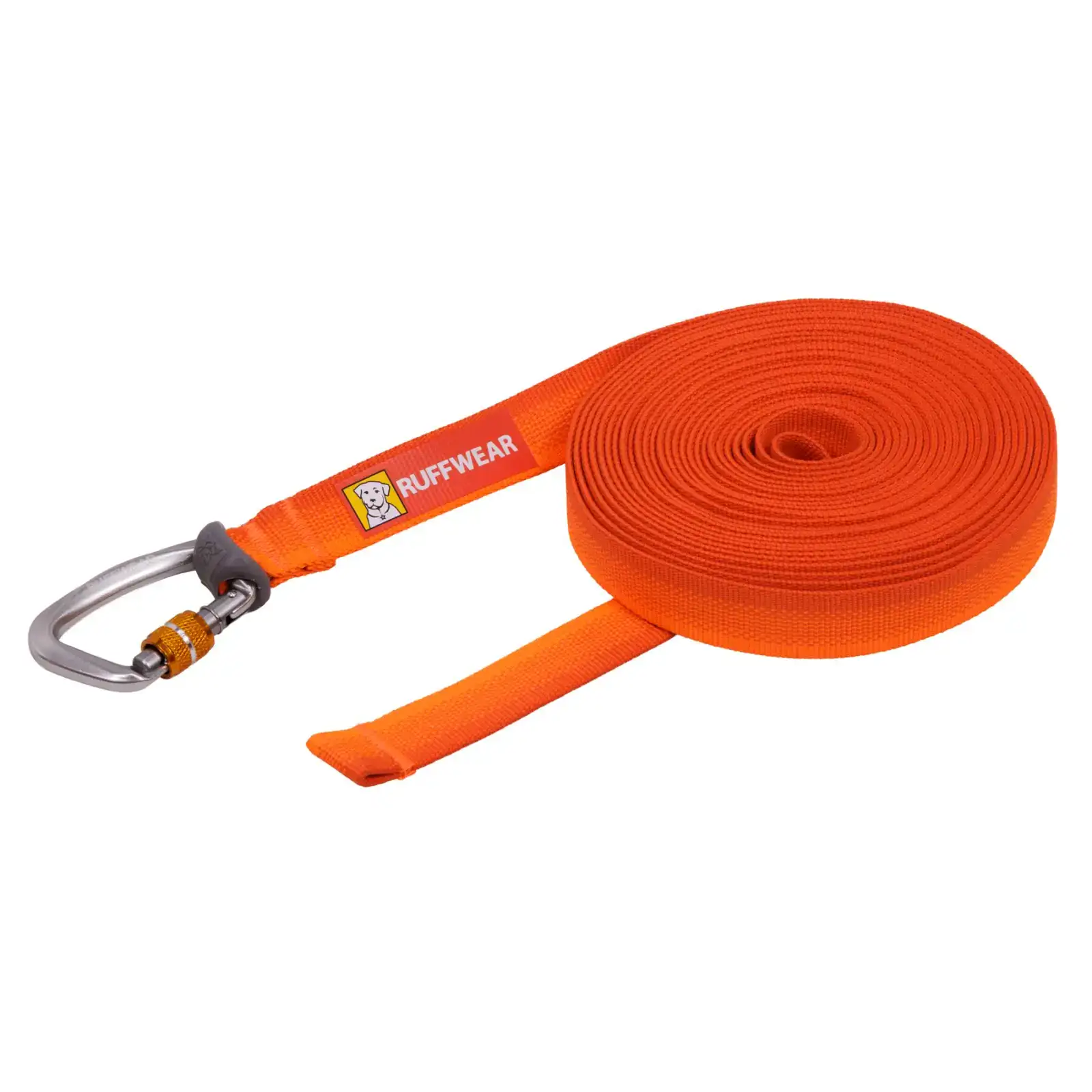long line dog lead