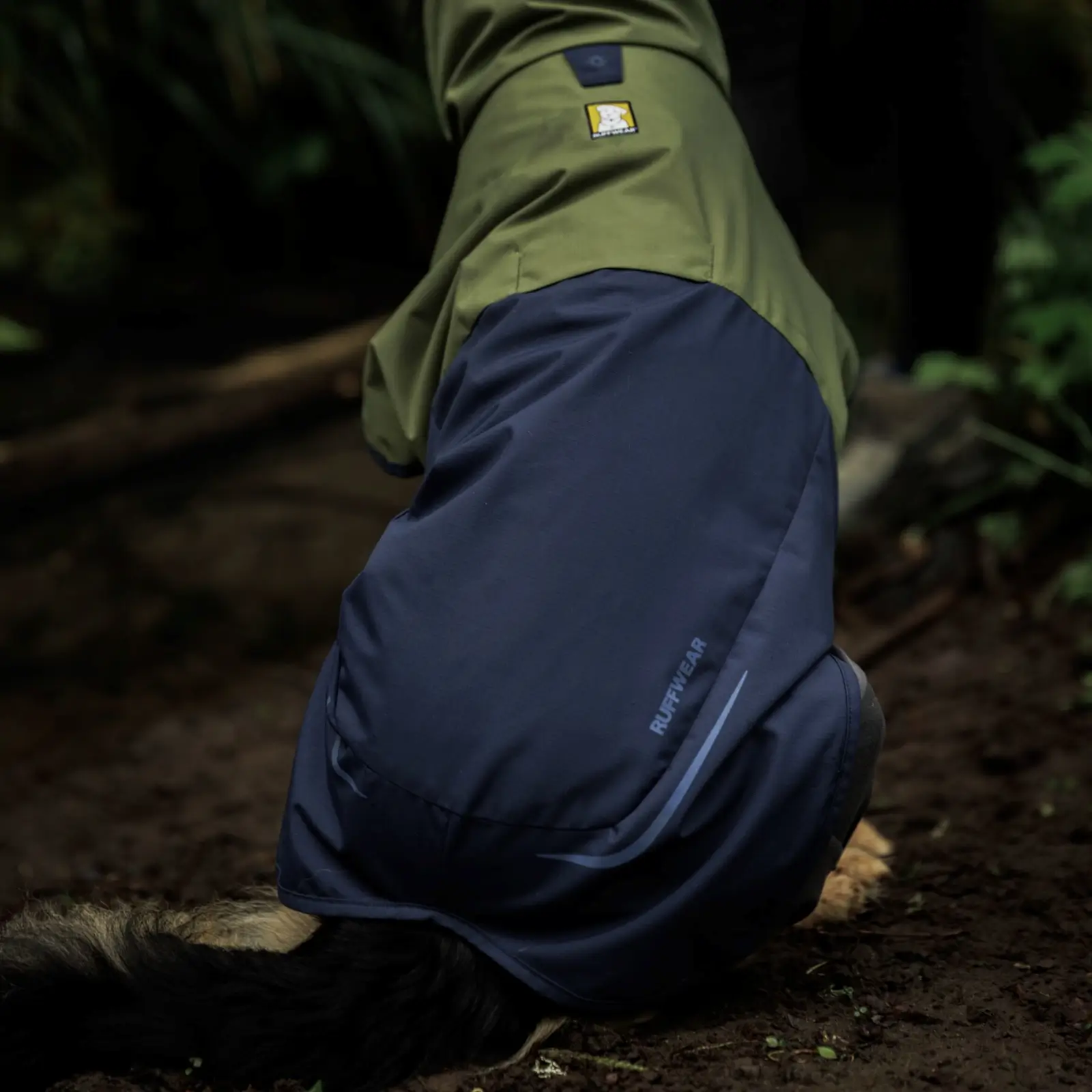 Ruffwear-Sun-Shower-Coverall_Midnight-Blue_Oakridge-11