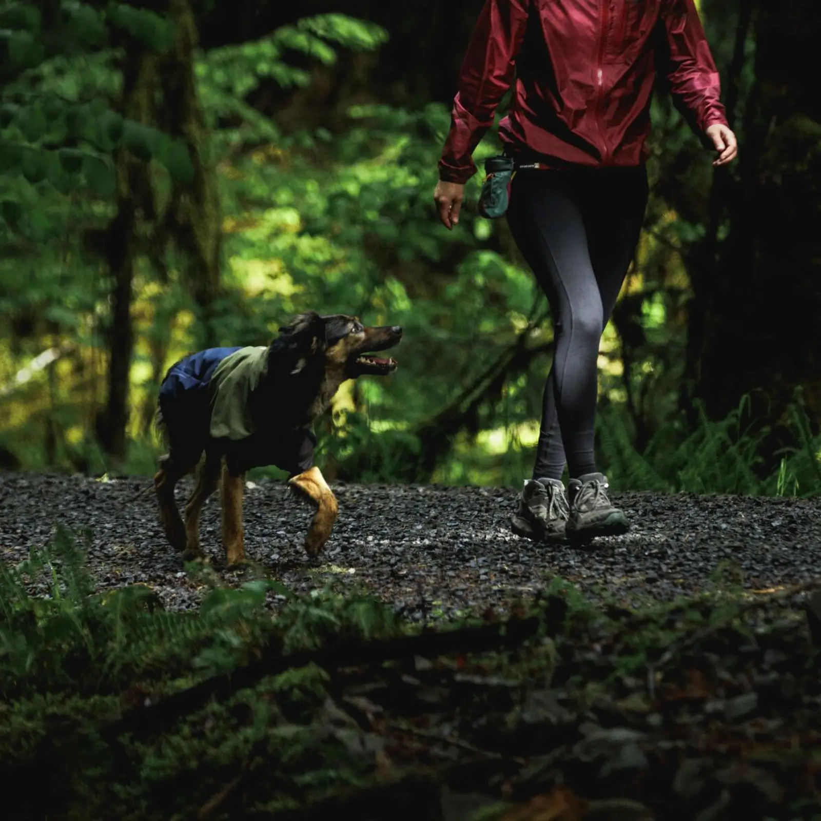 Ruffwear-Sun-Shower-Coverall_Midnight-Blue_Oakridge-20