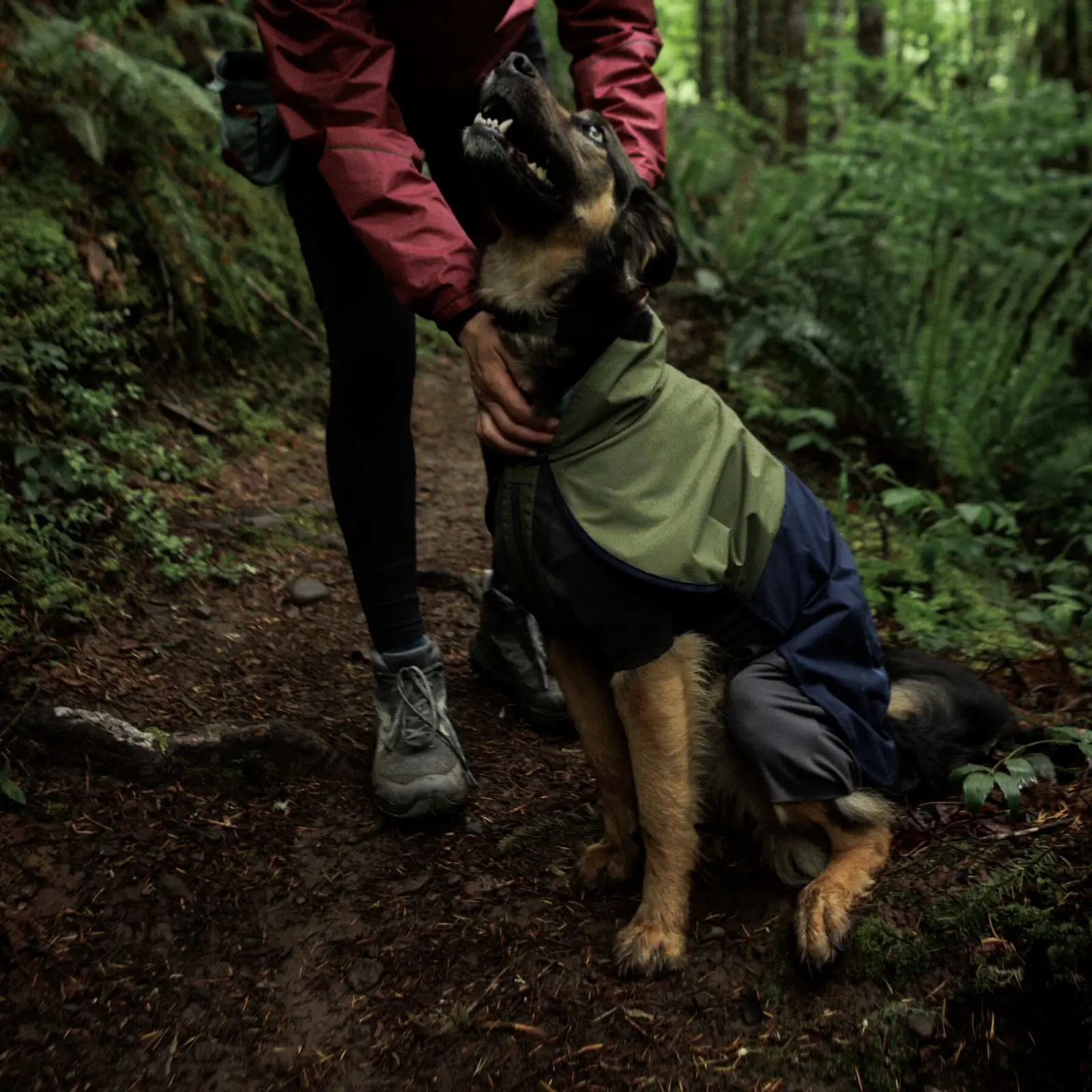 Ruffwear-Sun-Shower-Coverall_Midnight-Blue_Oakridge-27