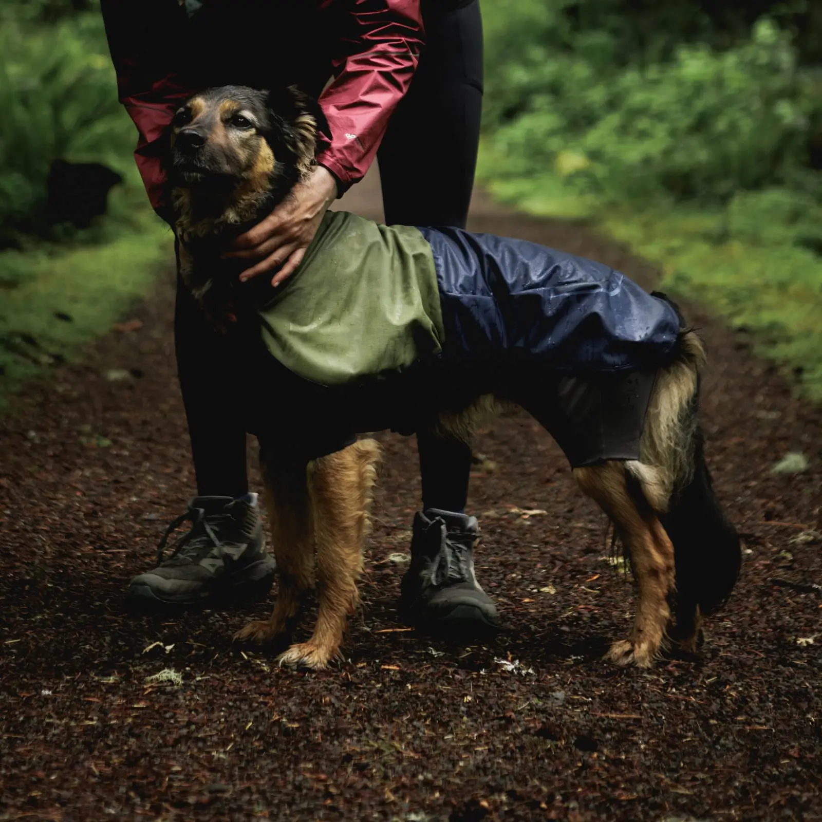 Ruffwear-Sun-Shower-Coverall_Midnight-Blue_Oakridge-34