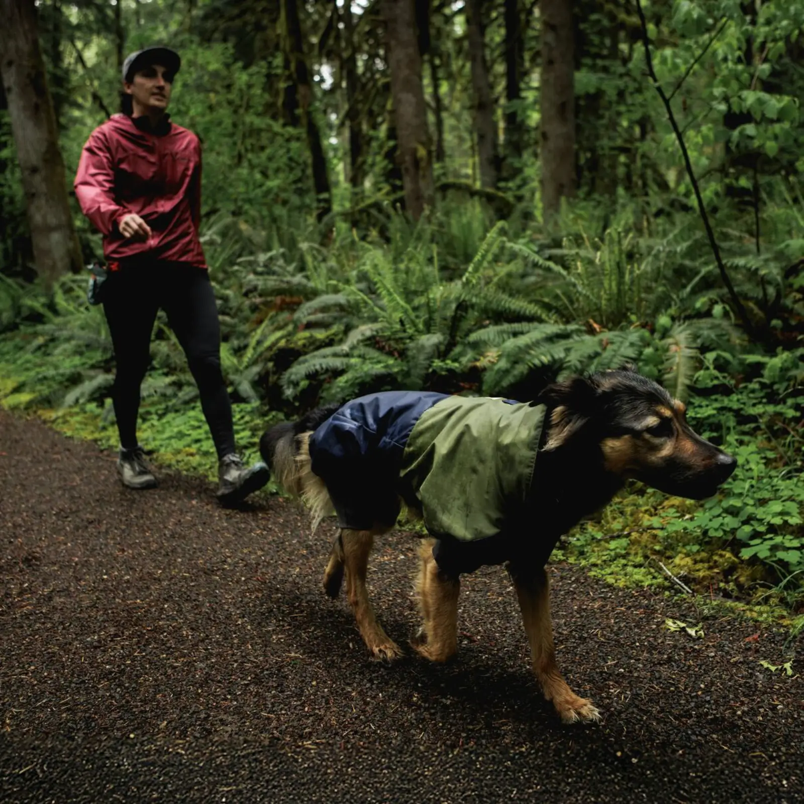 Ruffwear-Sun-Shower-Coverall_Midnight-Blue_Oakridge-35