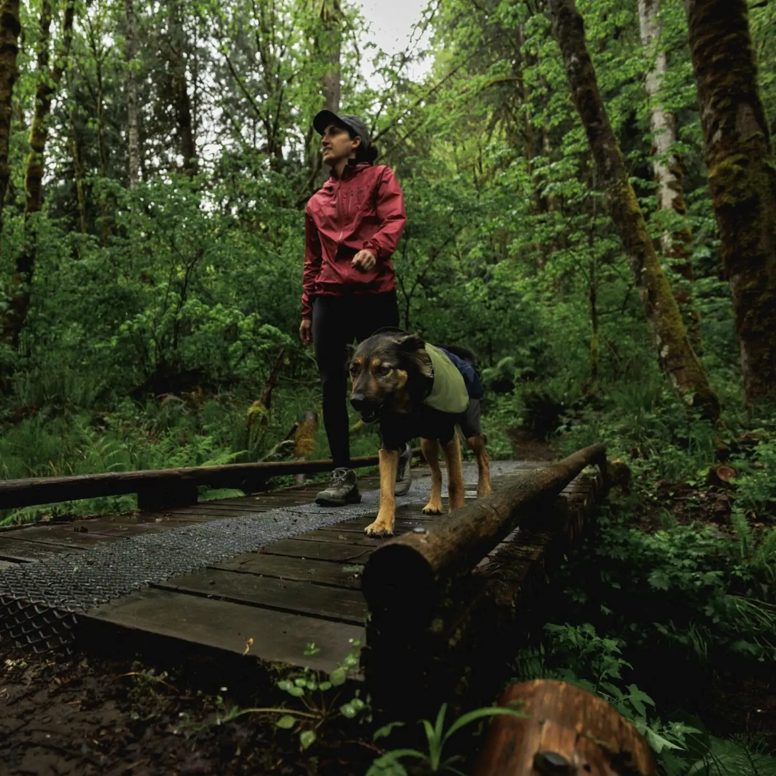 Ruffwear-Sun-Shower-Coverall_Midnight-Blue_Oakridge-4