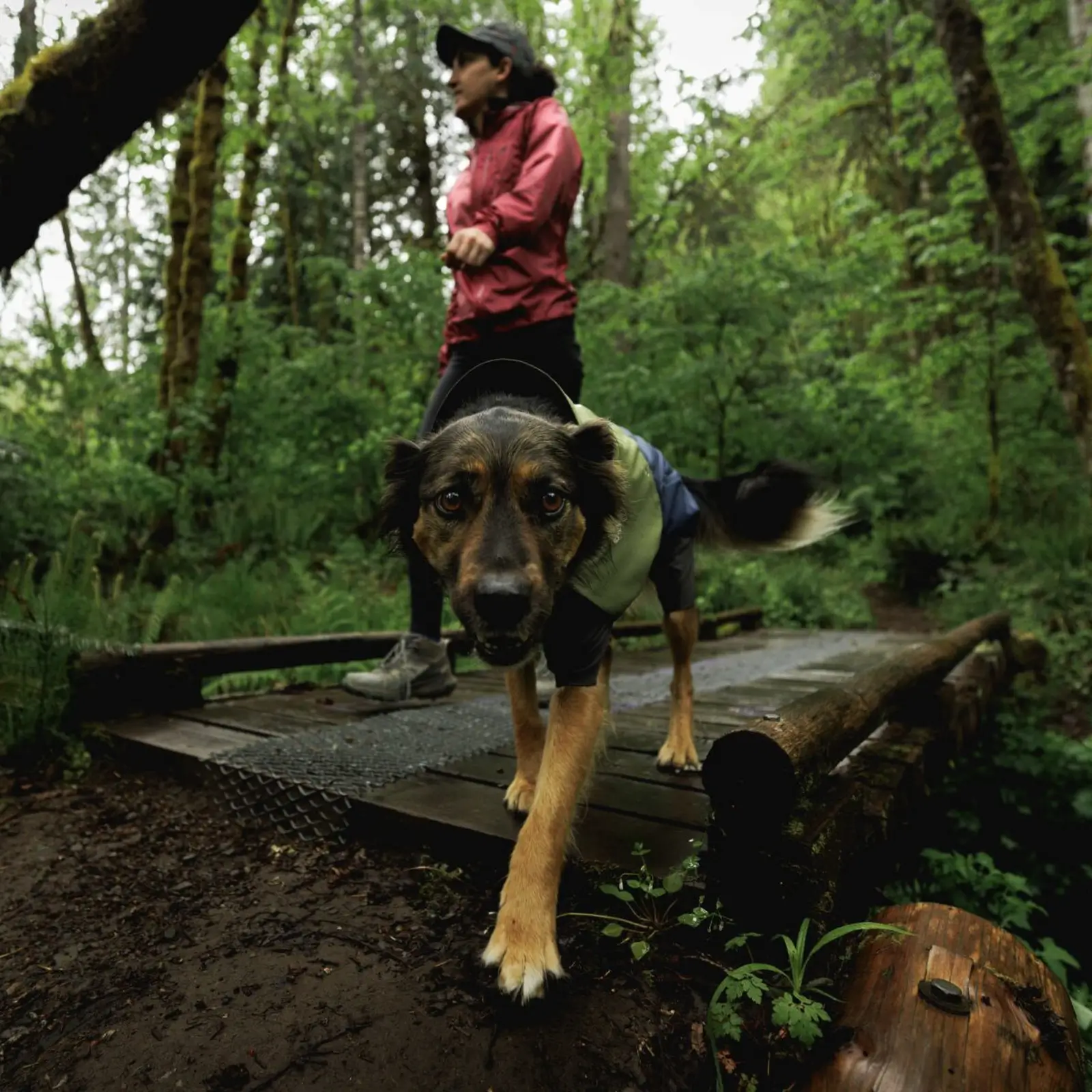 Ruffwear-Sun-Shower-Coverall_Midnight-Blue_Oakridge-5