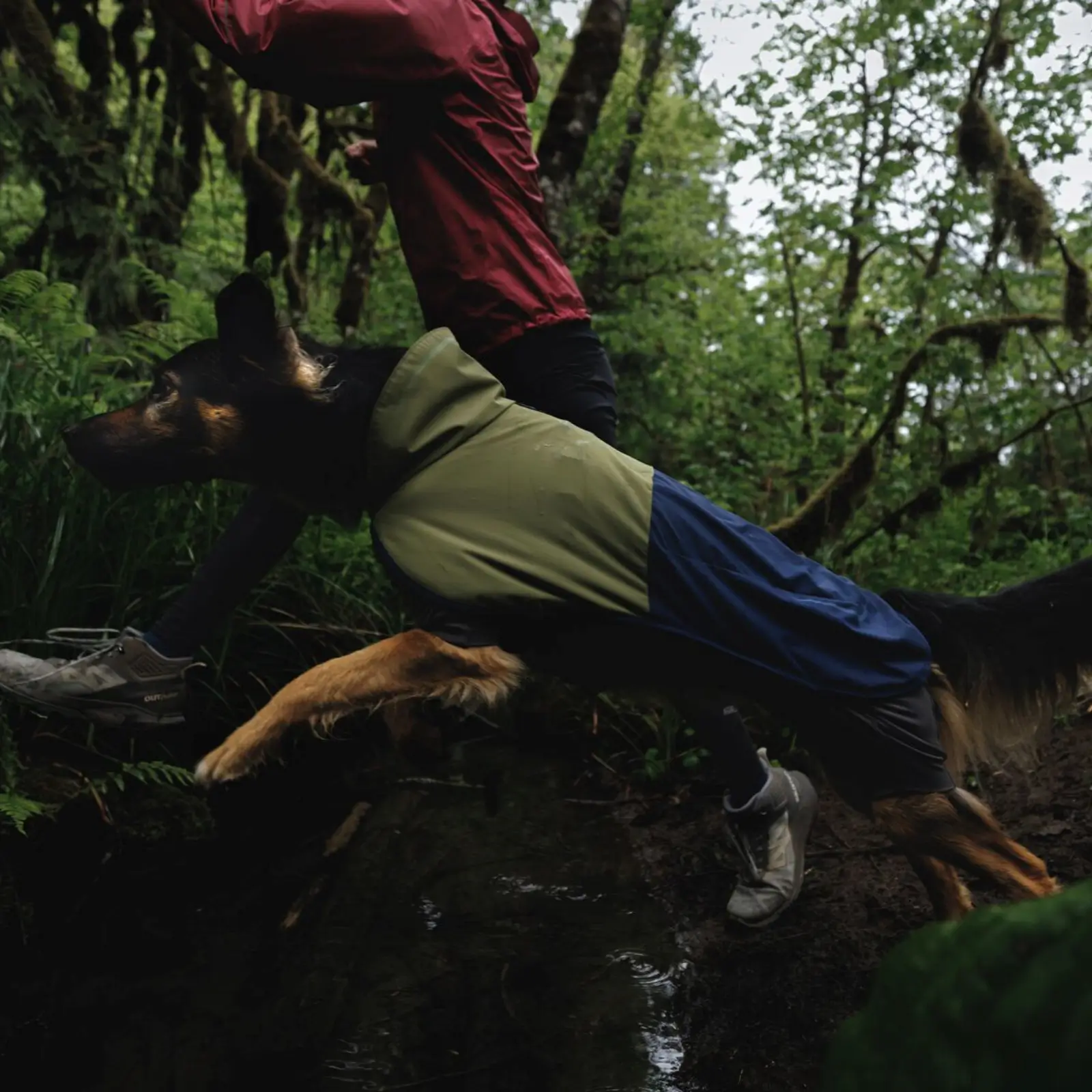 Ruffwear-Sun-Shower-Coverall_Midnight-Blue_Oakridge-7