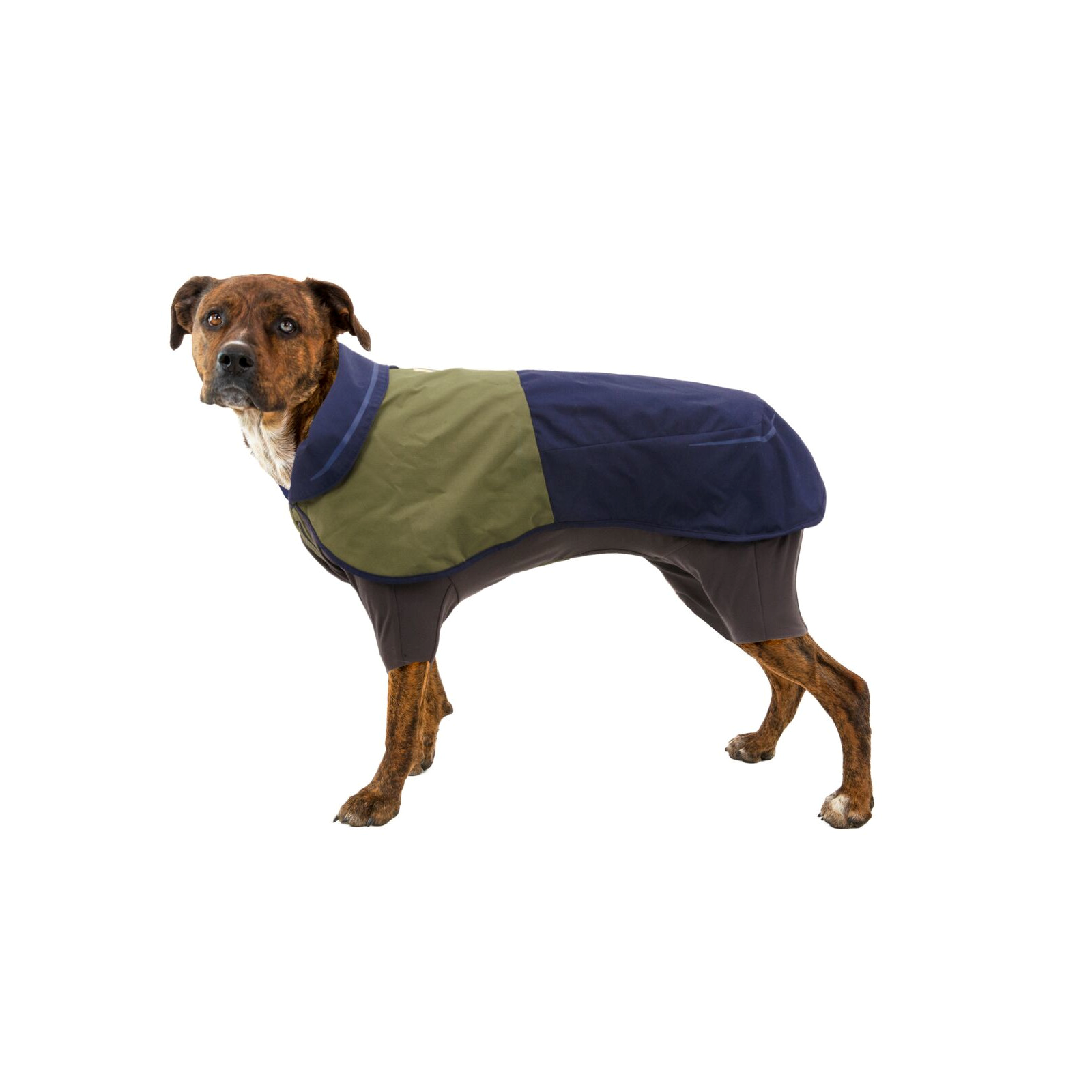 Ruffwear-Sunshower-Coverall_Midnight-Blue_Zipper_On-Dog