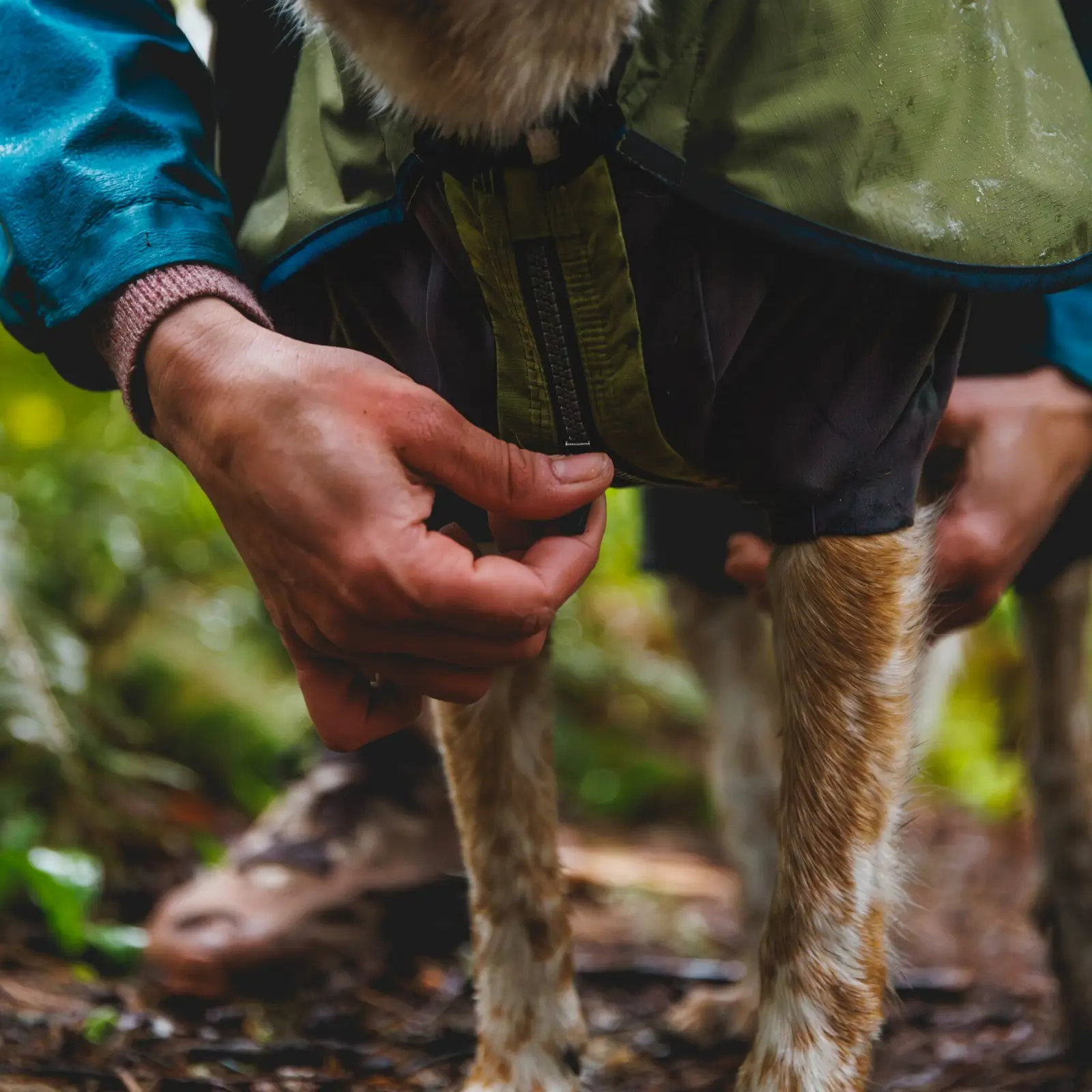 Ruffwear-Sunshower-Jacket-Coverall_Midnight-Blue_Mackenzie-River-3