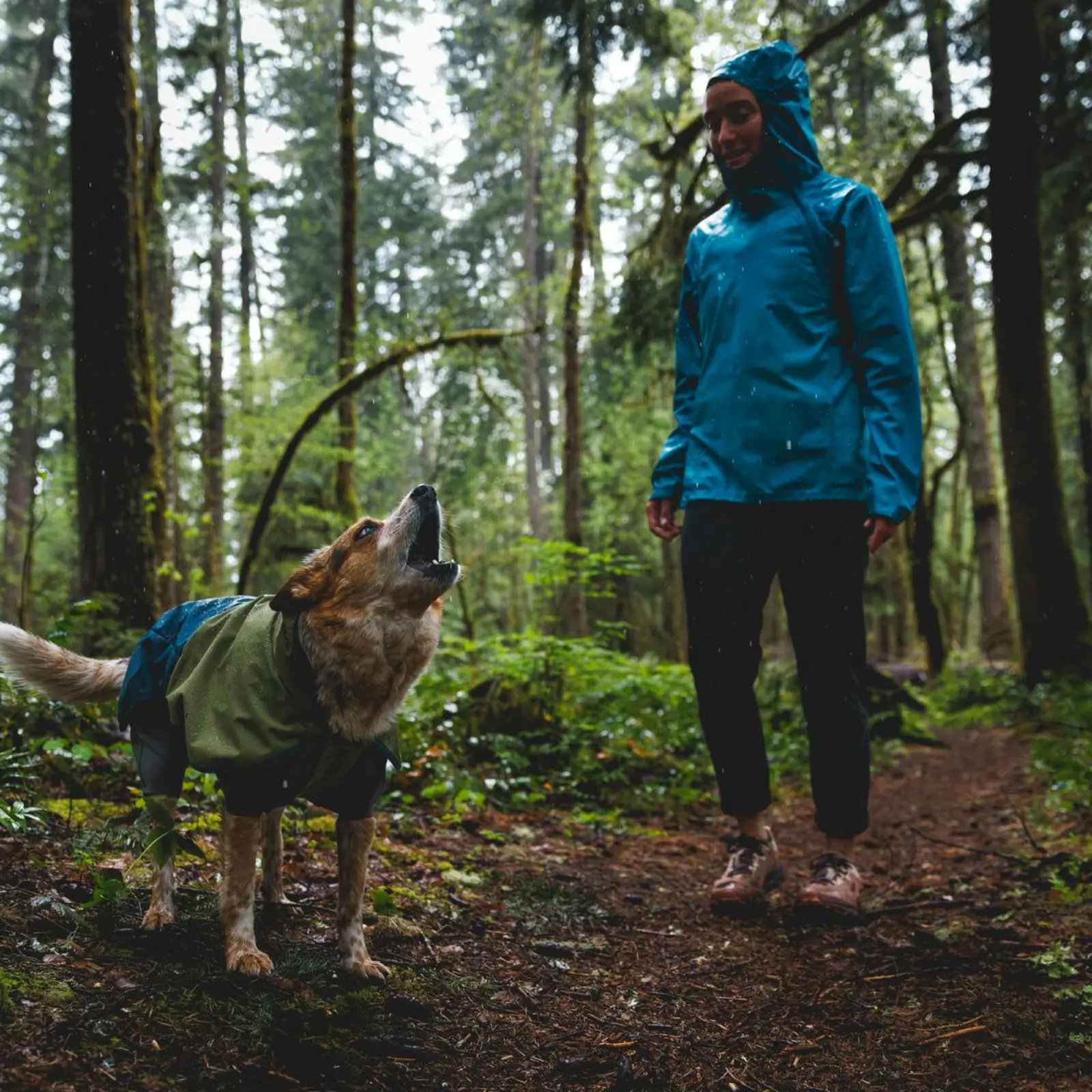Ruffwear-Sunshower-Jacket-Coverall_Midnight-Blue_Mackenzie-River-6