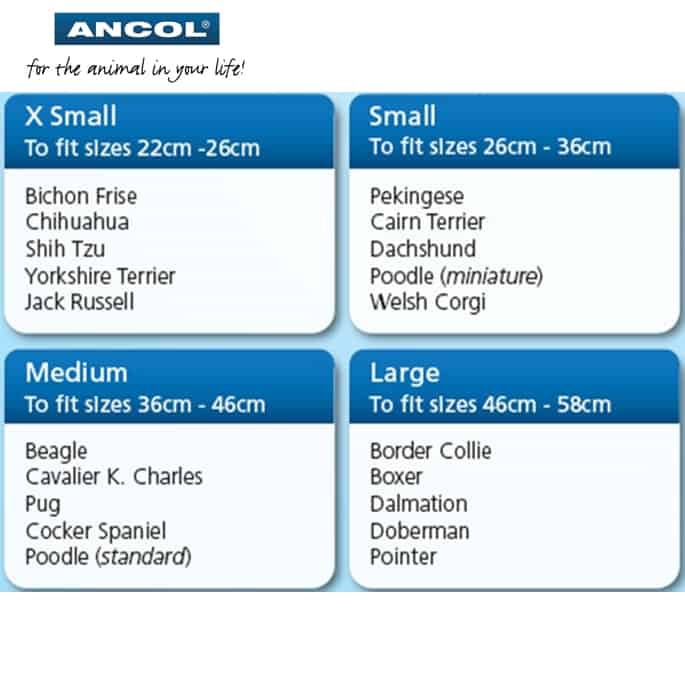 ancol dog harness size guide