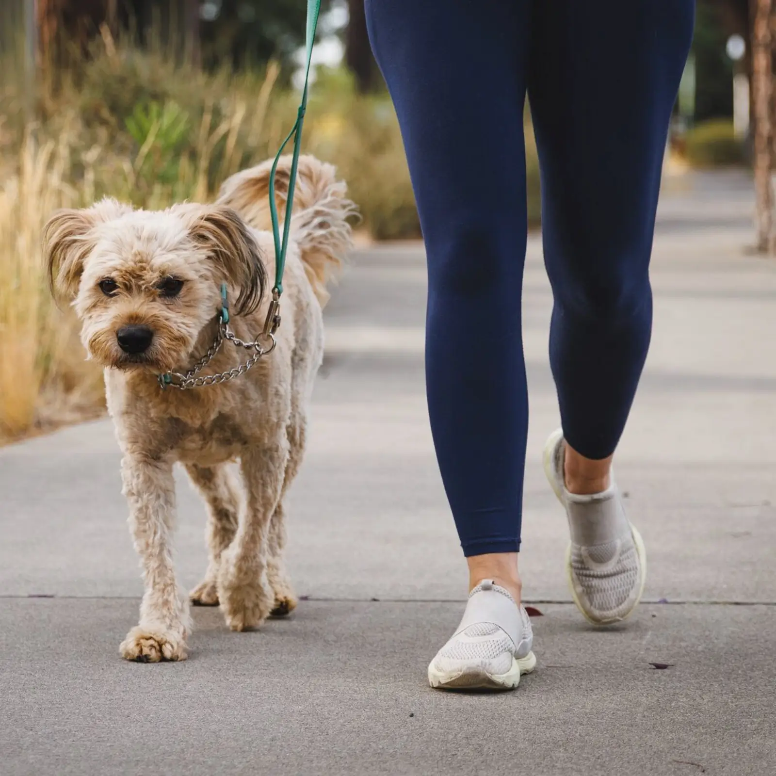 Web JPG-25703_Chain-Reaction-Collar_River-Rock-Green_Marv-1
