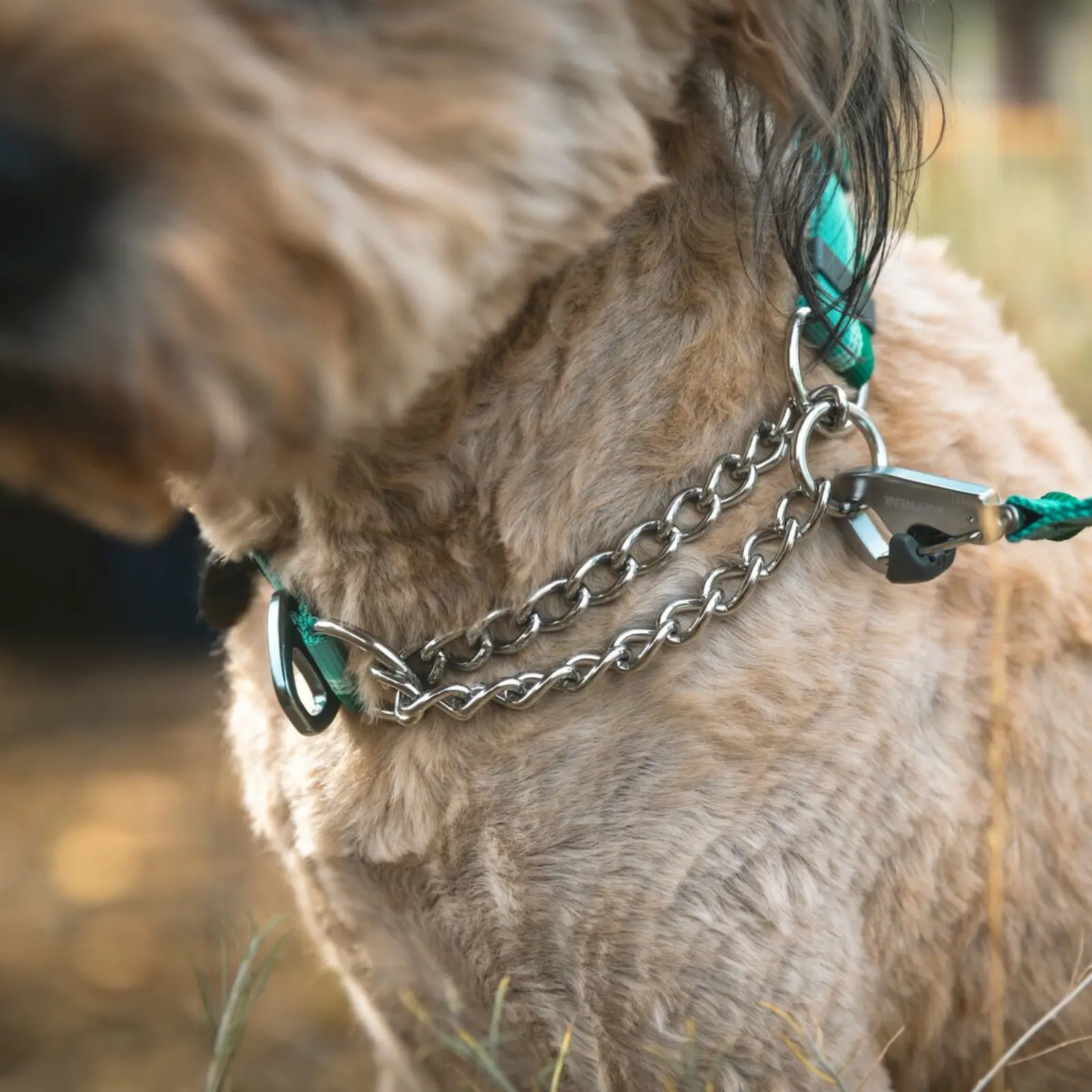 Web JPG-25703_Chain-Reaction-Collar_River-Rock-Green_Marv-3