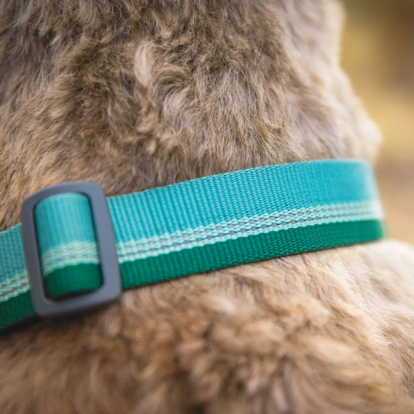 Web JPG-25703_Chain-Reaction-Collar_River-Rock-Green_Marv-4