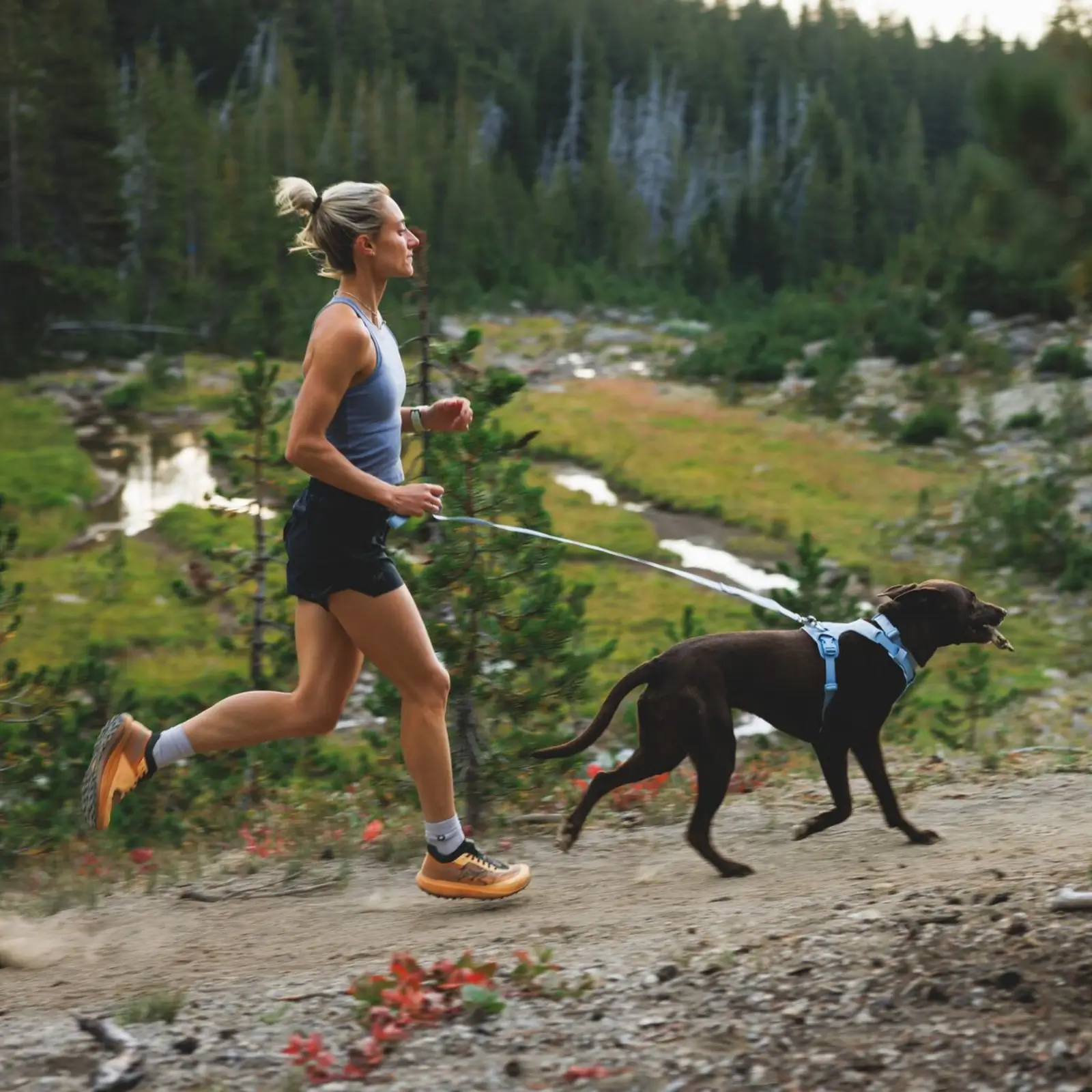 Web JPG-3072_Front-Range-Flex-Harness_Polar-Blue_Lifestyle_RW-15 Front Range Flex Leash