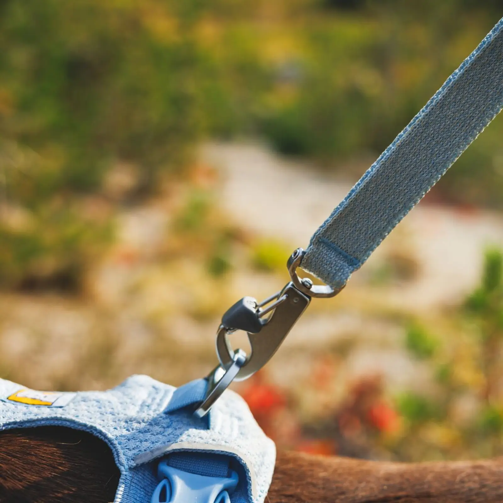 Web JPG-3072_Front-Range-Flex-Harness_Polar-Blue_Lifestyle_RW-26 Front Range Flex Leash