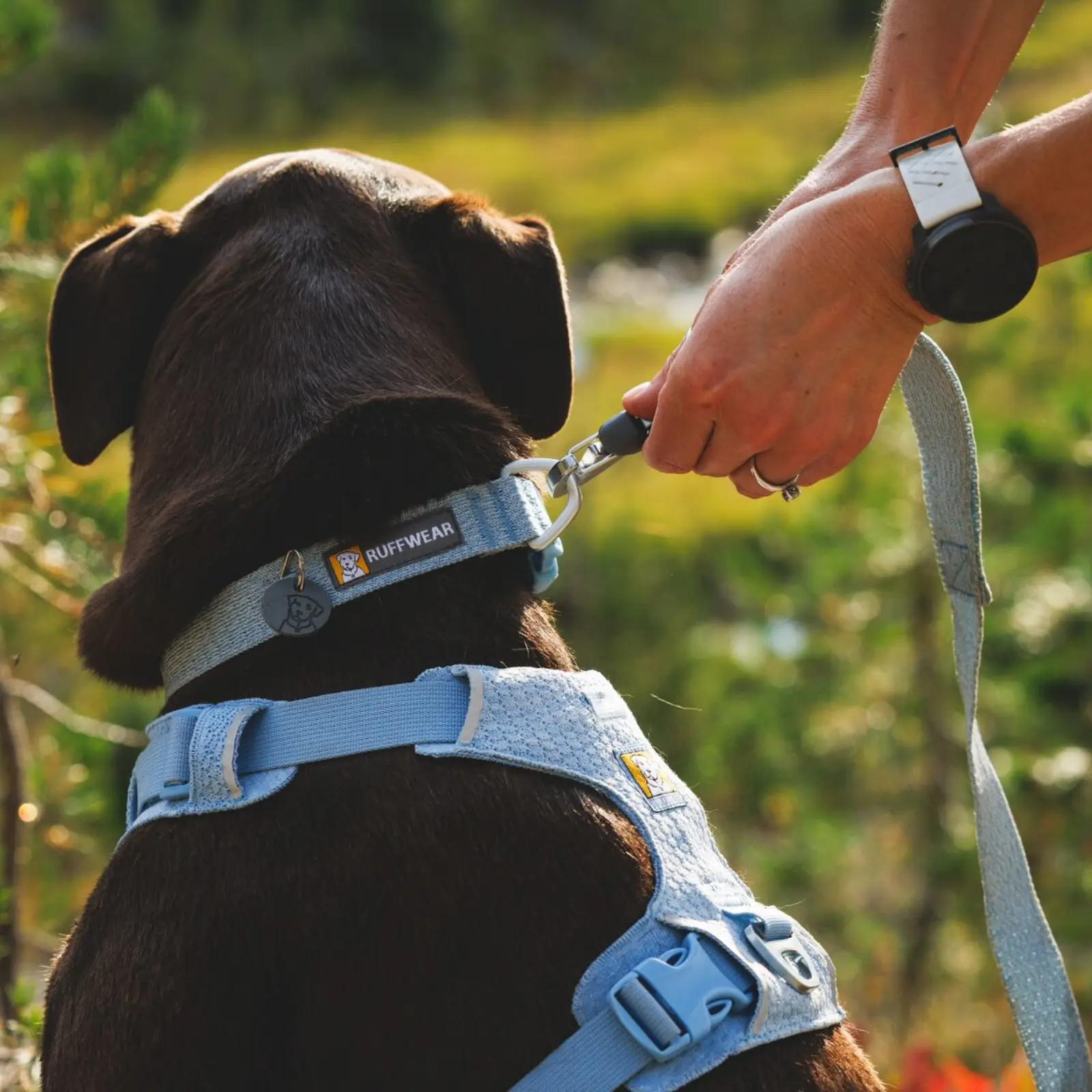 Web JPG-3072_Front-Range-Flex-Harness_Polar-Bluel_Lifestyle_RW1 Front Range Flex Leash