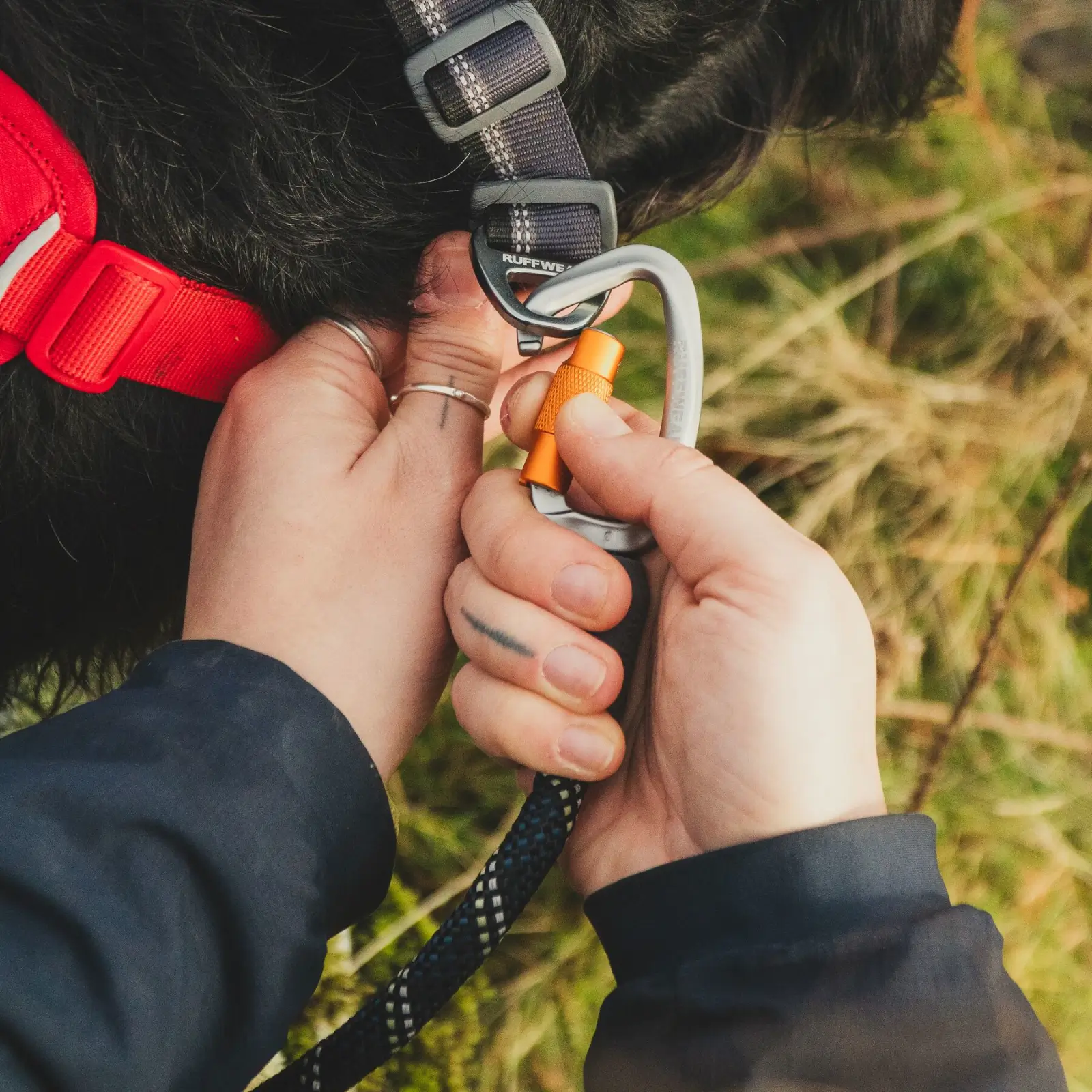 Web JPG-40206-Knot-a-Leash_Obsidian-Black_UK-Hike-3