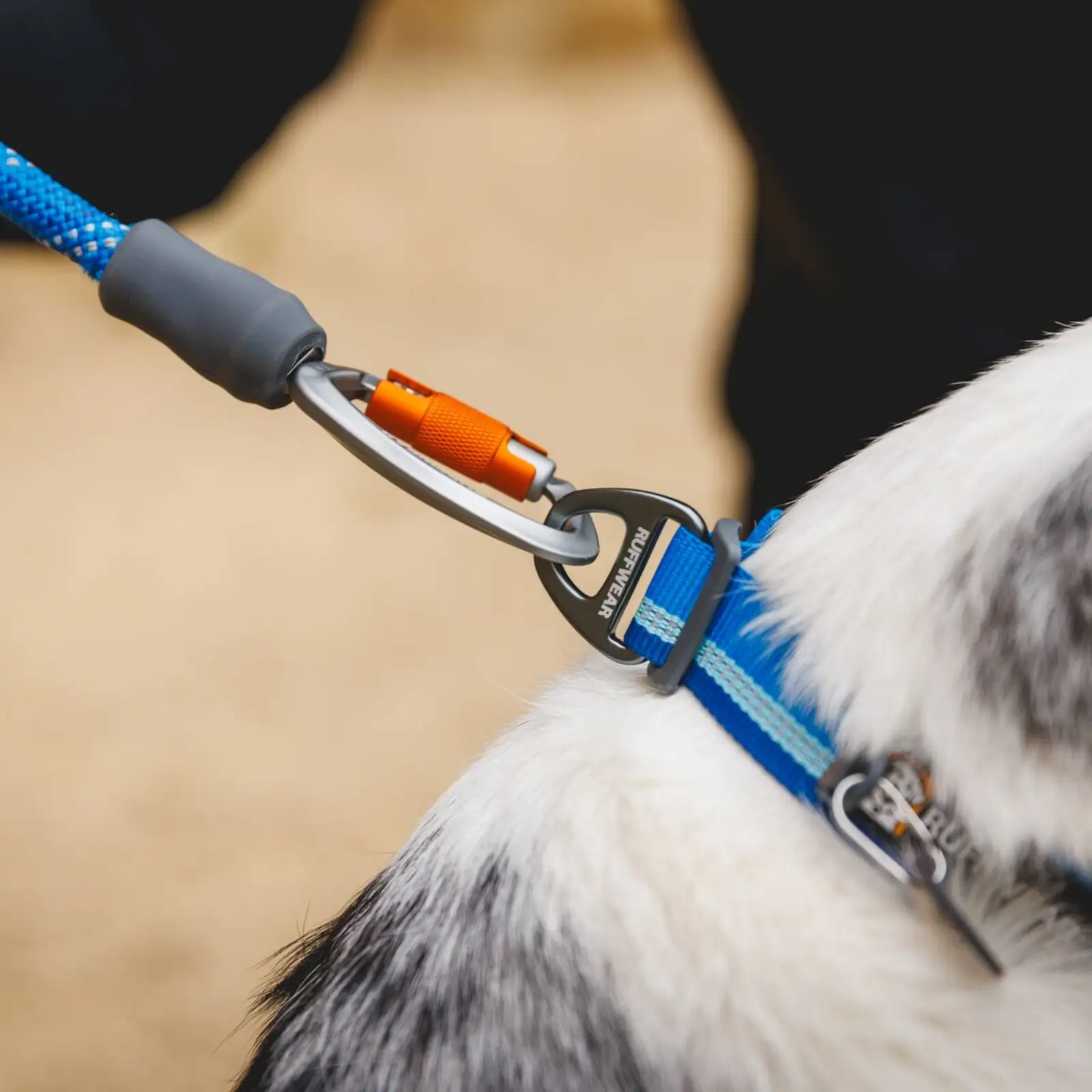 Web JPG-40206_Knot-a-Leash_Blue-Pool_Smith-Rock-1