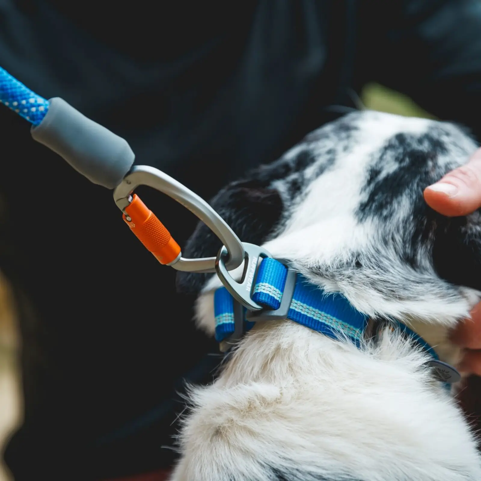 Web JPG-40206_Knot-a-Leash_Blue-Pool_Smith-Rock-10