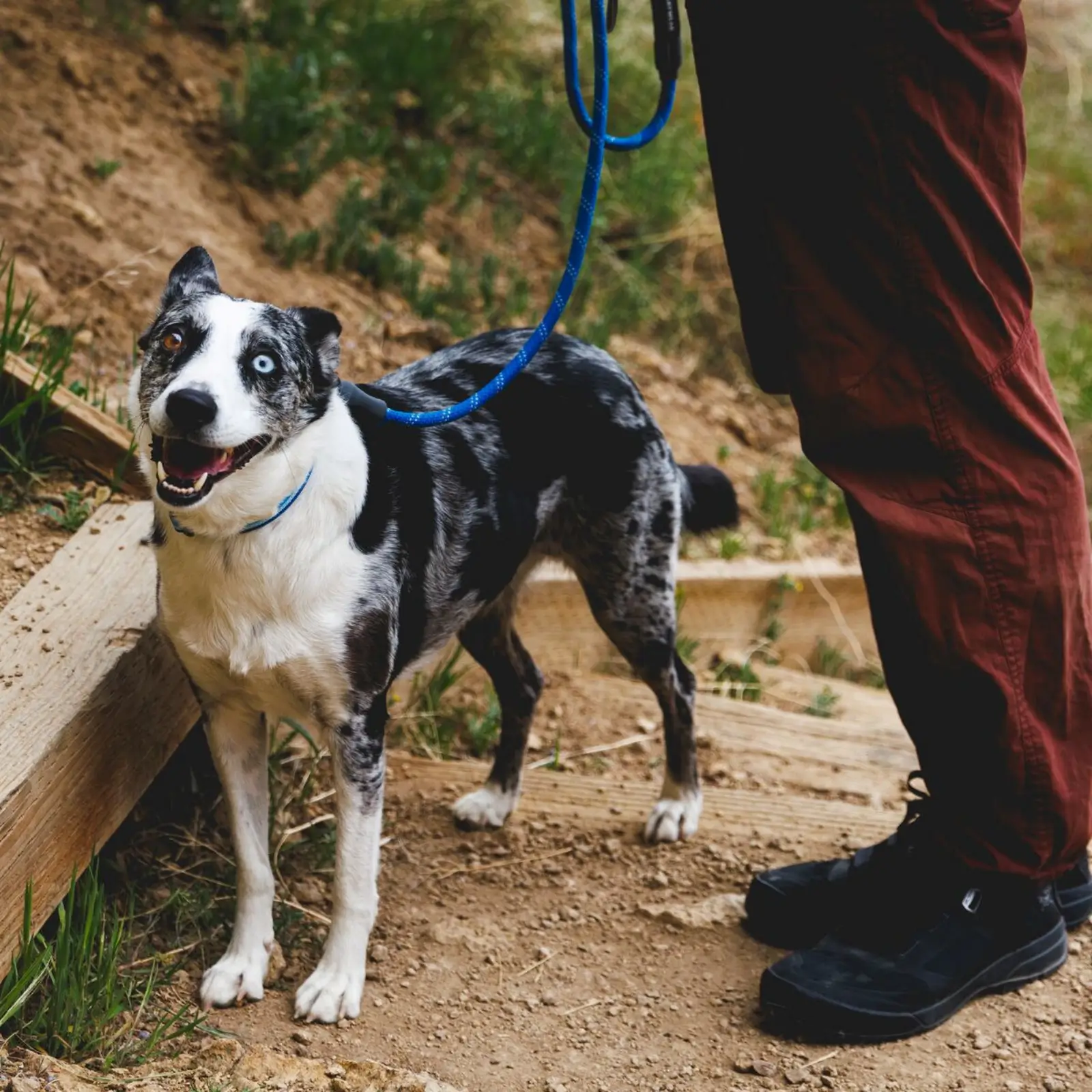 Web JPG-40206_Knot-a-Leash_Blue-Pool_Smith-Rock-3