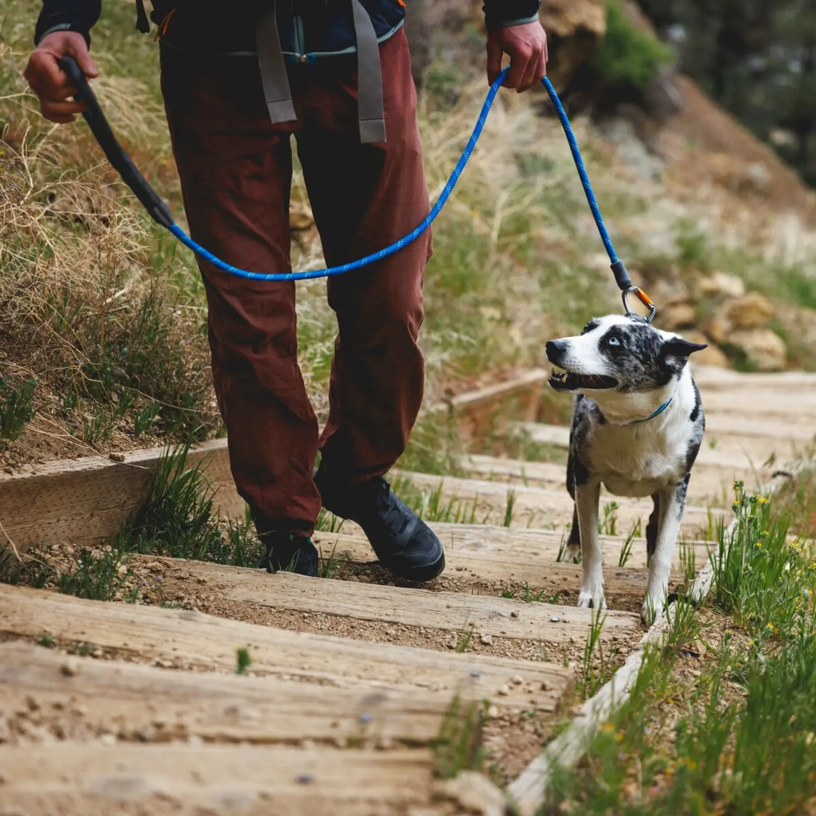 Web JPG-40206_Knot-a-Leash_Blue-Pool_Smith-Rock-4