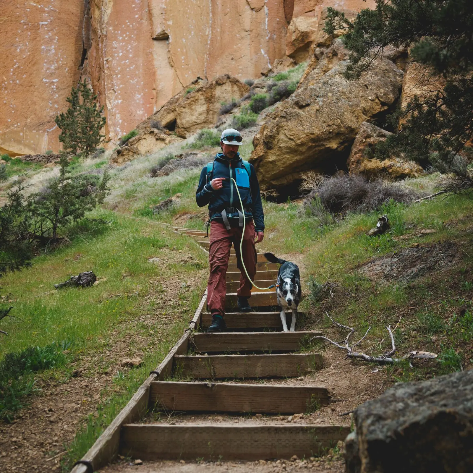 Web JPG-40206_Knot-a-Leash_Moss-Green_Smith-Rock-2