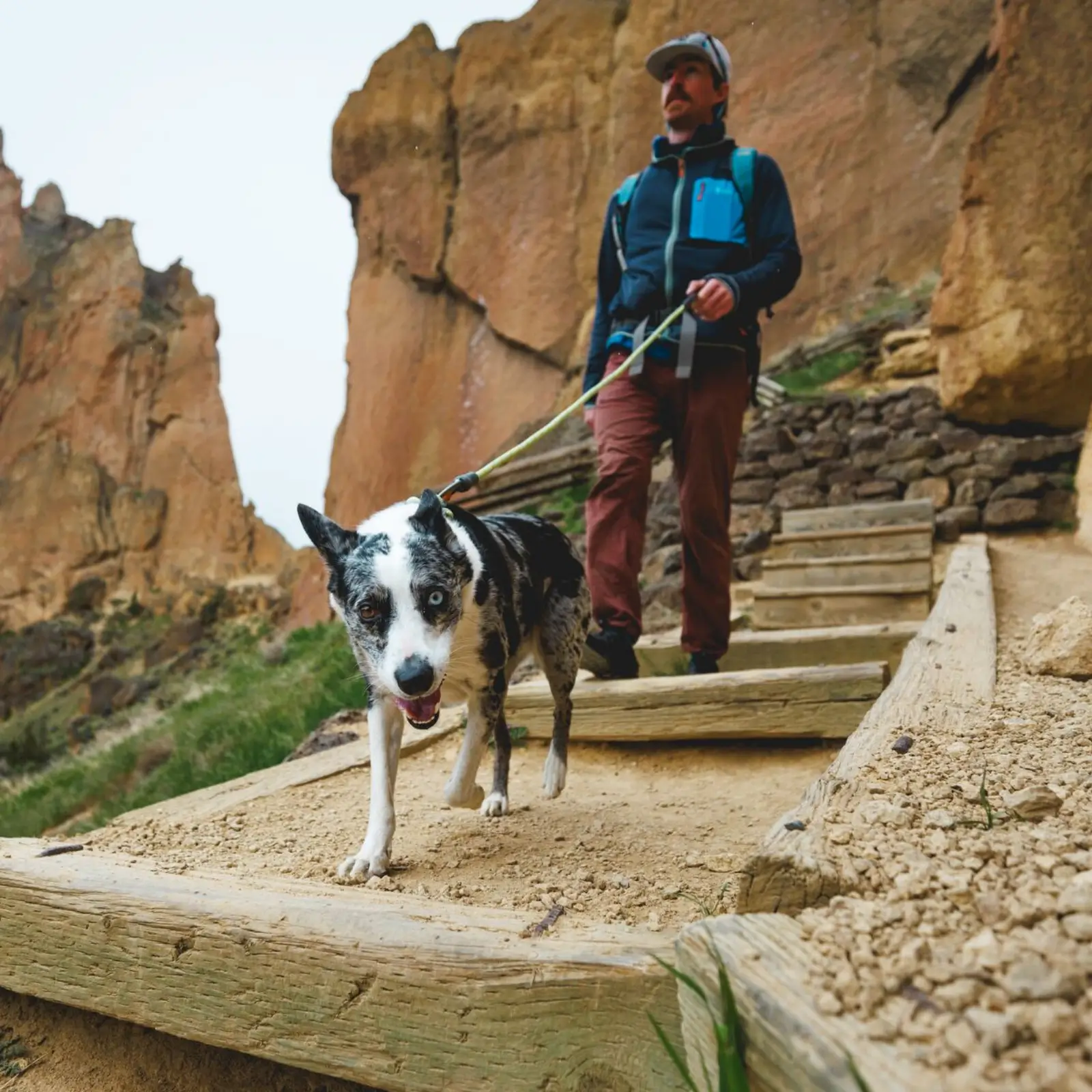 Web JPG-40206_Knot-a-Leash_Moss-Green_Smith-Rock-8