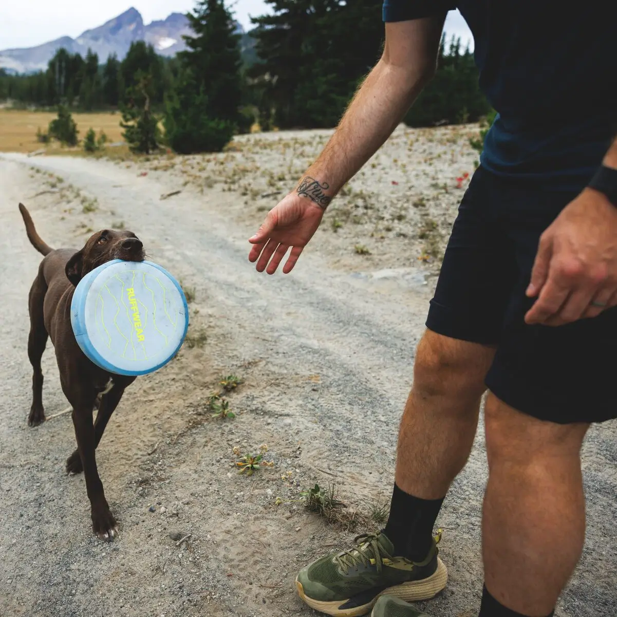 Web JPG-6013_Camp-Flyer-Toy_Polar-Blue_SS26_Lifestyle-7 Front Range Flex Leash