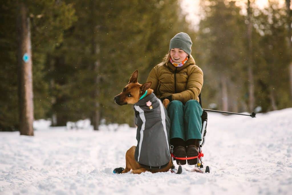 Dog jackets for store winter