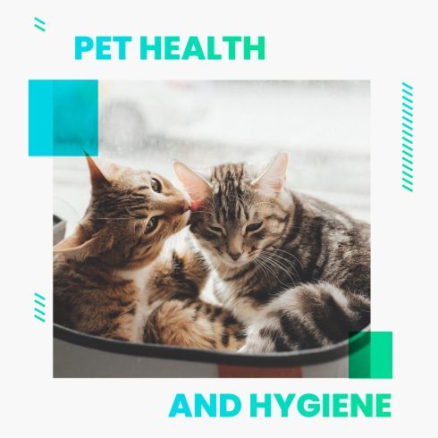 health-and-hygiene.jpg