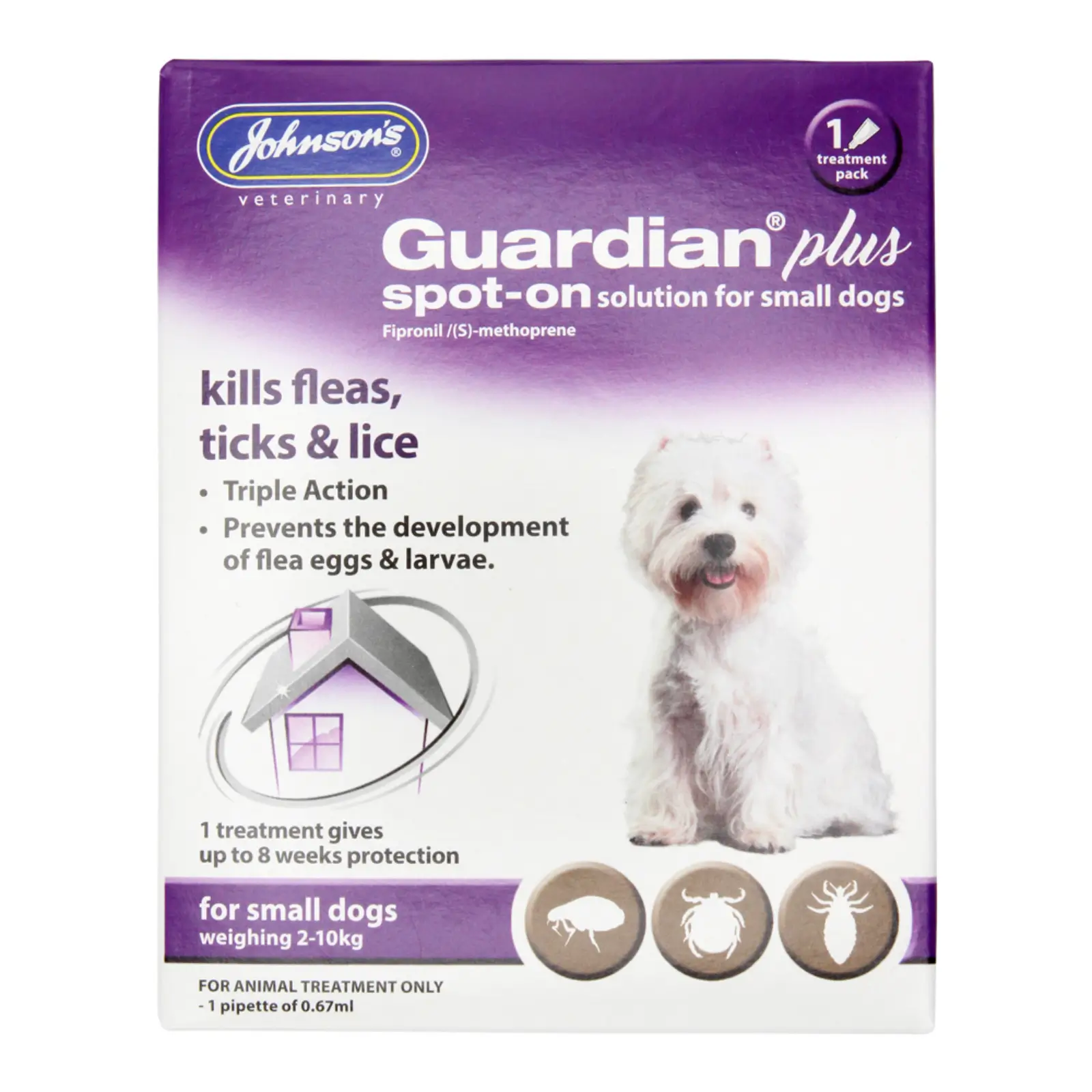 dog parasite