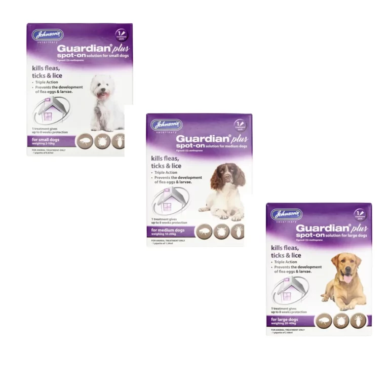 dog parasite
