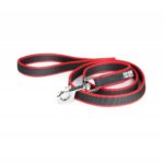 running dog lead