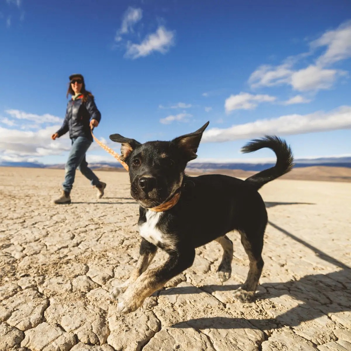ruffwear-crag-collar-desert-spice (5) ruffwear crag collar