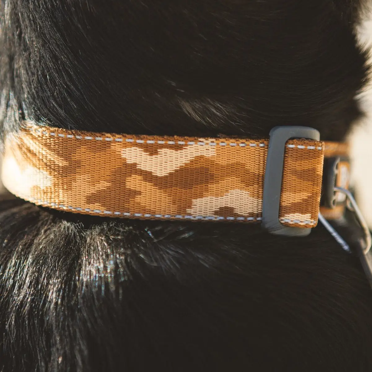 ruffwear-crag-collar-desert-spice (6) ruffwear crag collar
