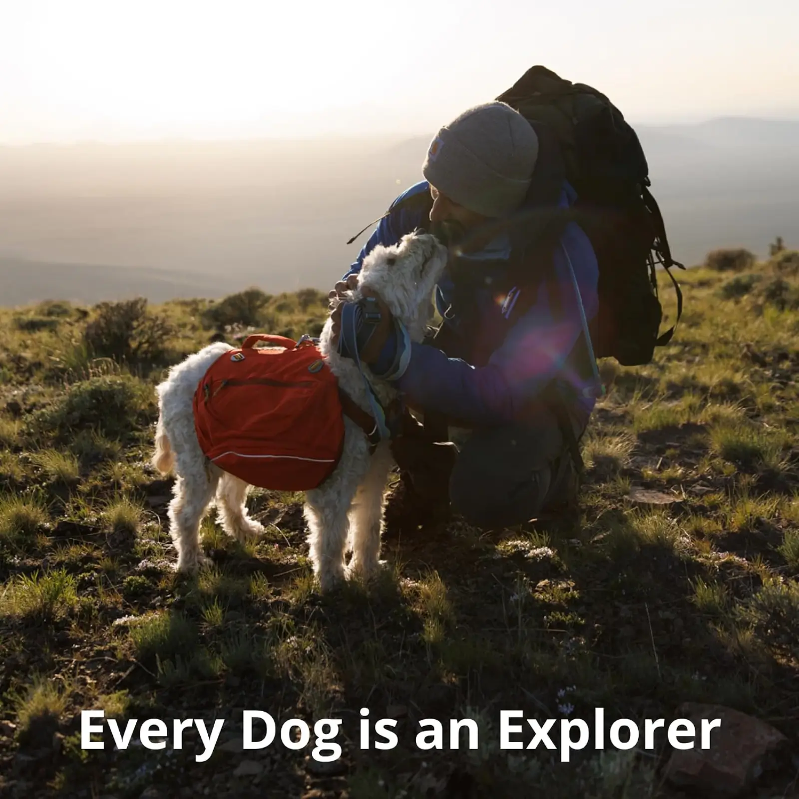 ruffwear-crag-collar-dog-explorer ruffwear crag collar