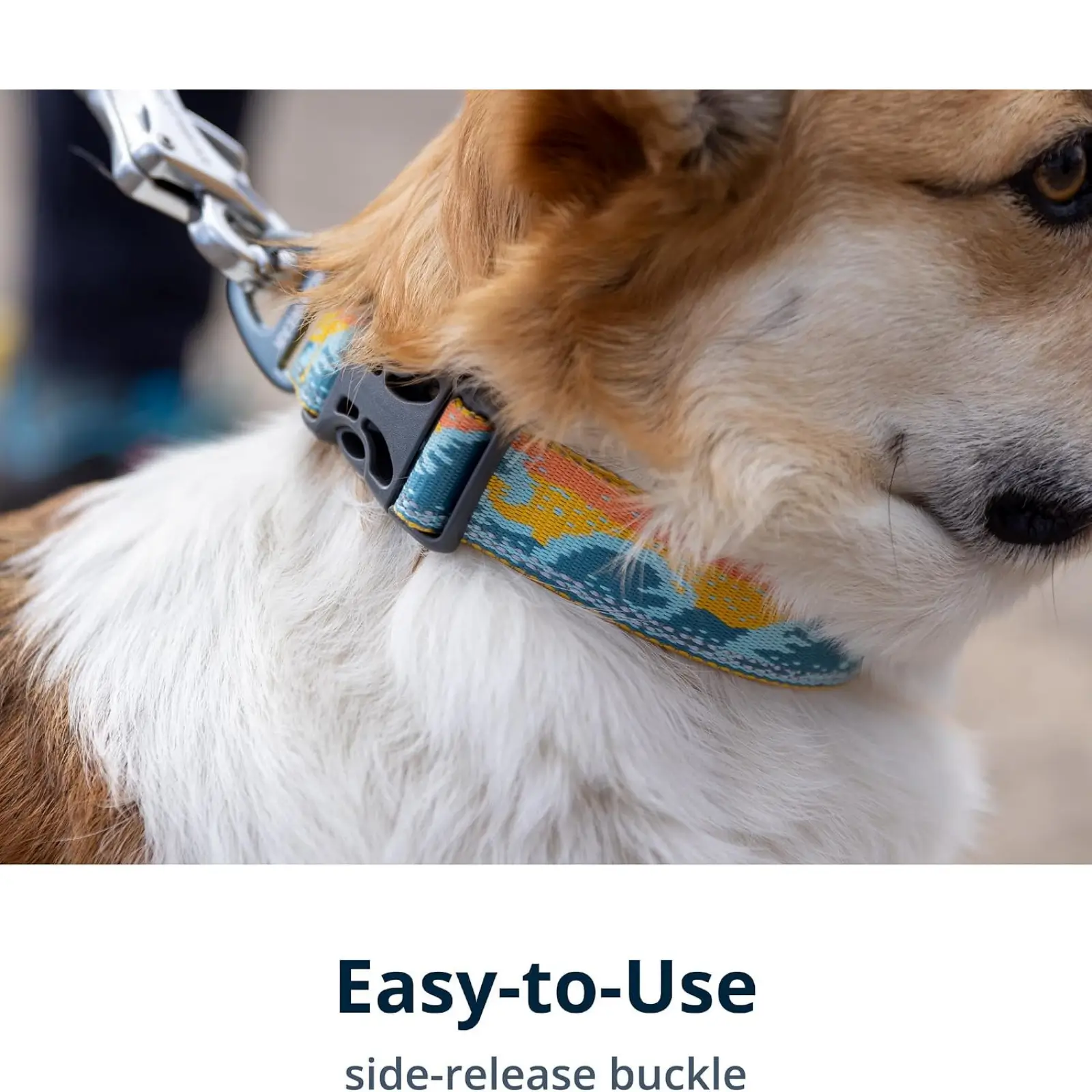 ruffwear-crag-collar-side ruffwear crag collar