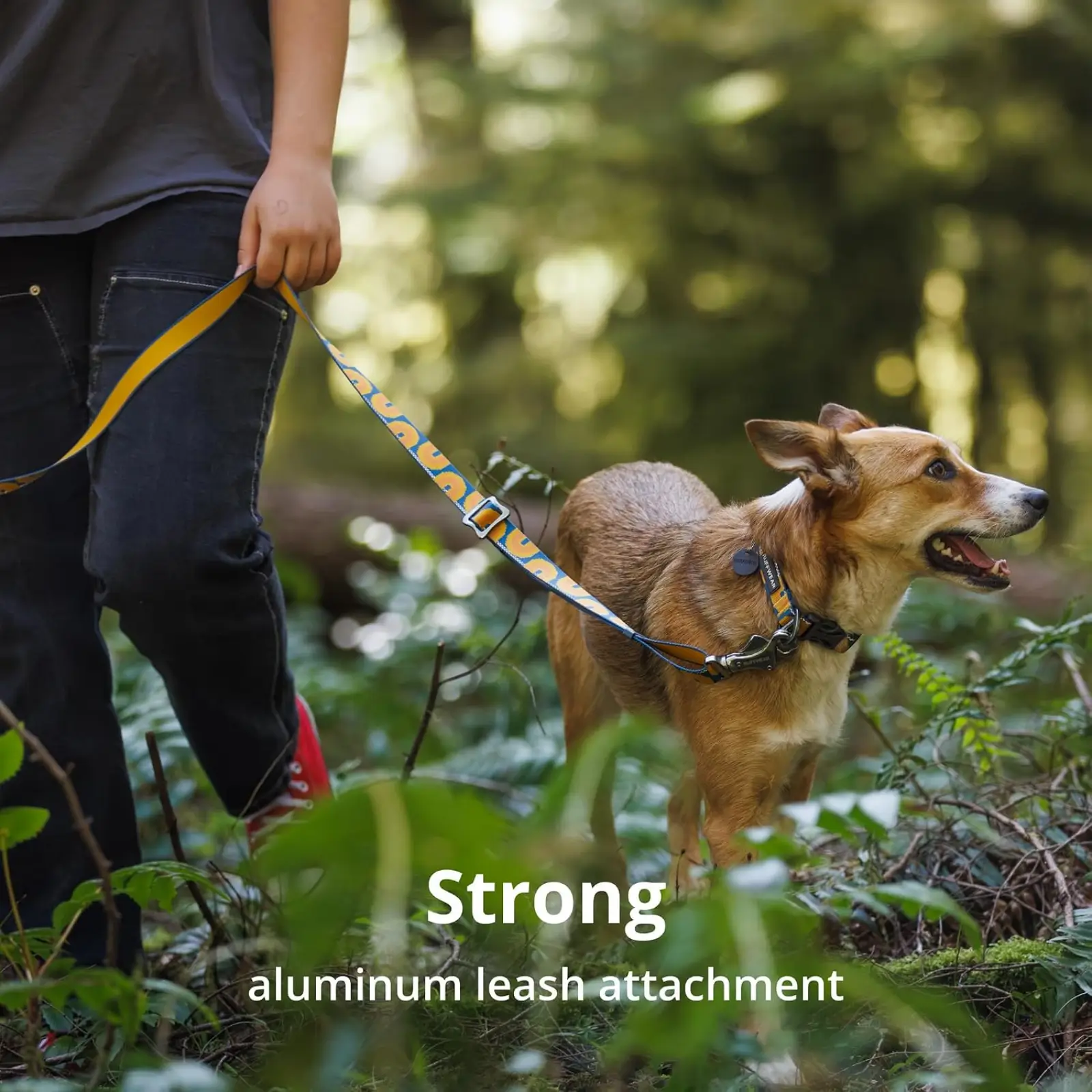 ruffwear-crag-dog-collar-strong-leash-attachment ruffwear crag collar